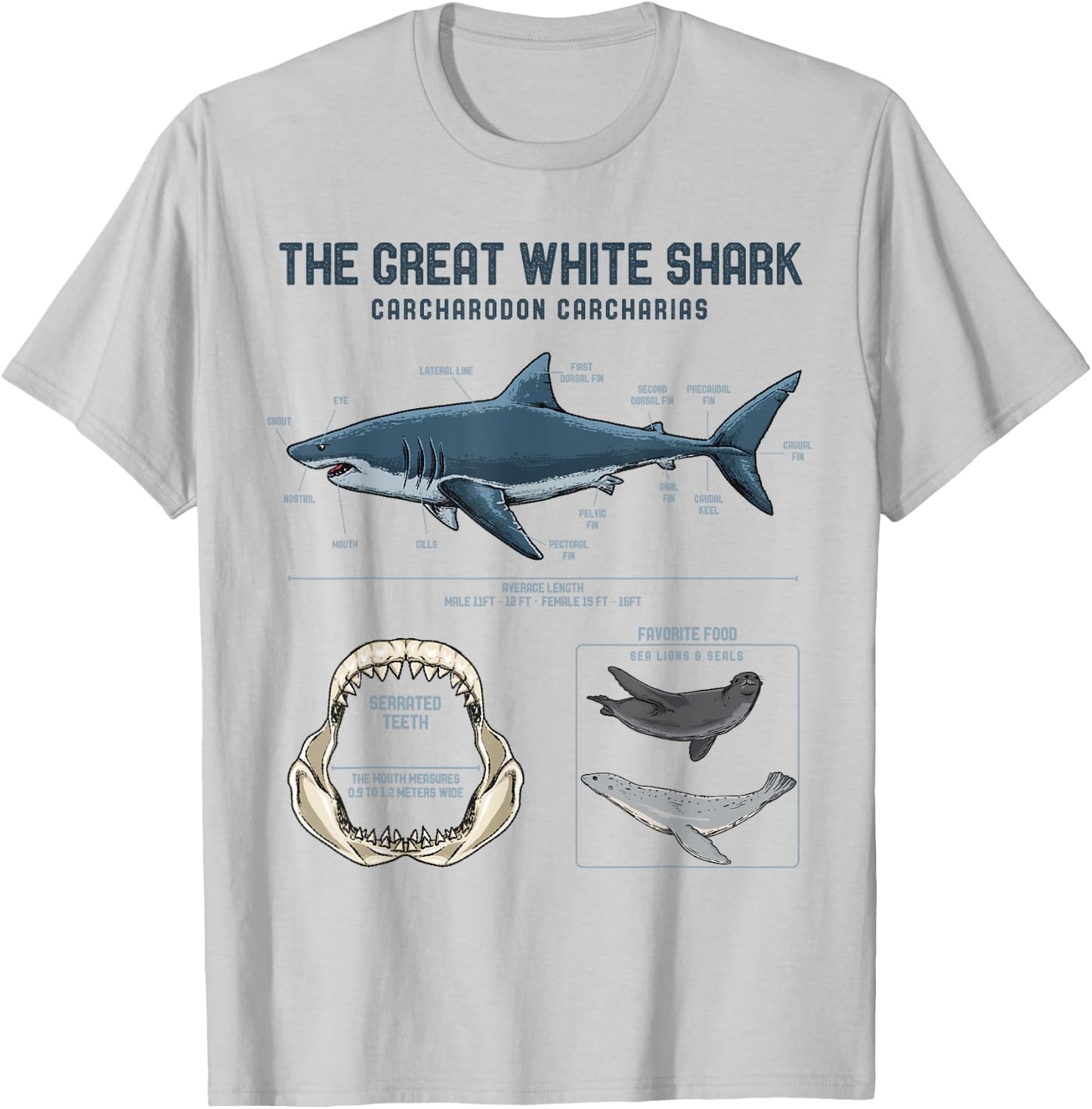 Great White Shark Anatomy Shirt - Shark Marine Biologist T-Shirt - T-Shirt | Ash