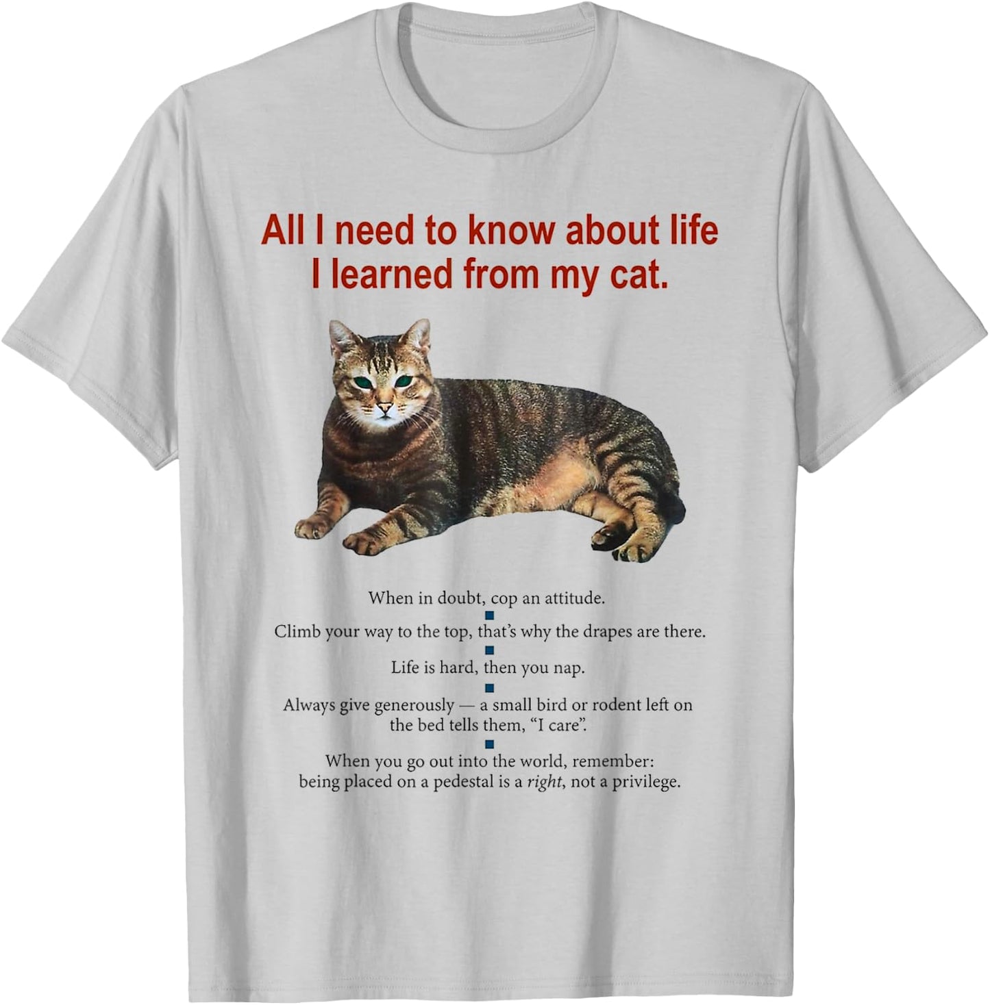 Everything I Need To Know About Life I Learned From My Cat Women T-Shirt - T-Shirt | Ash