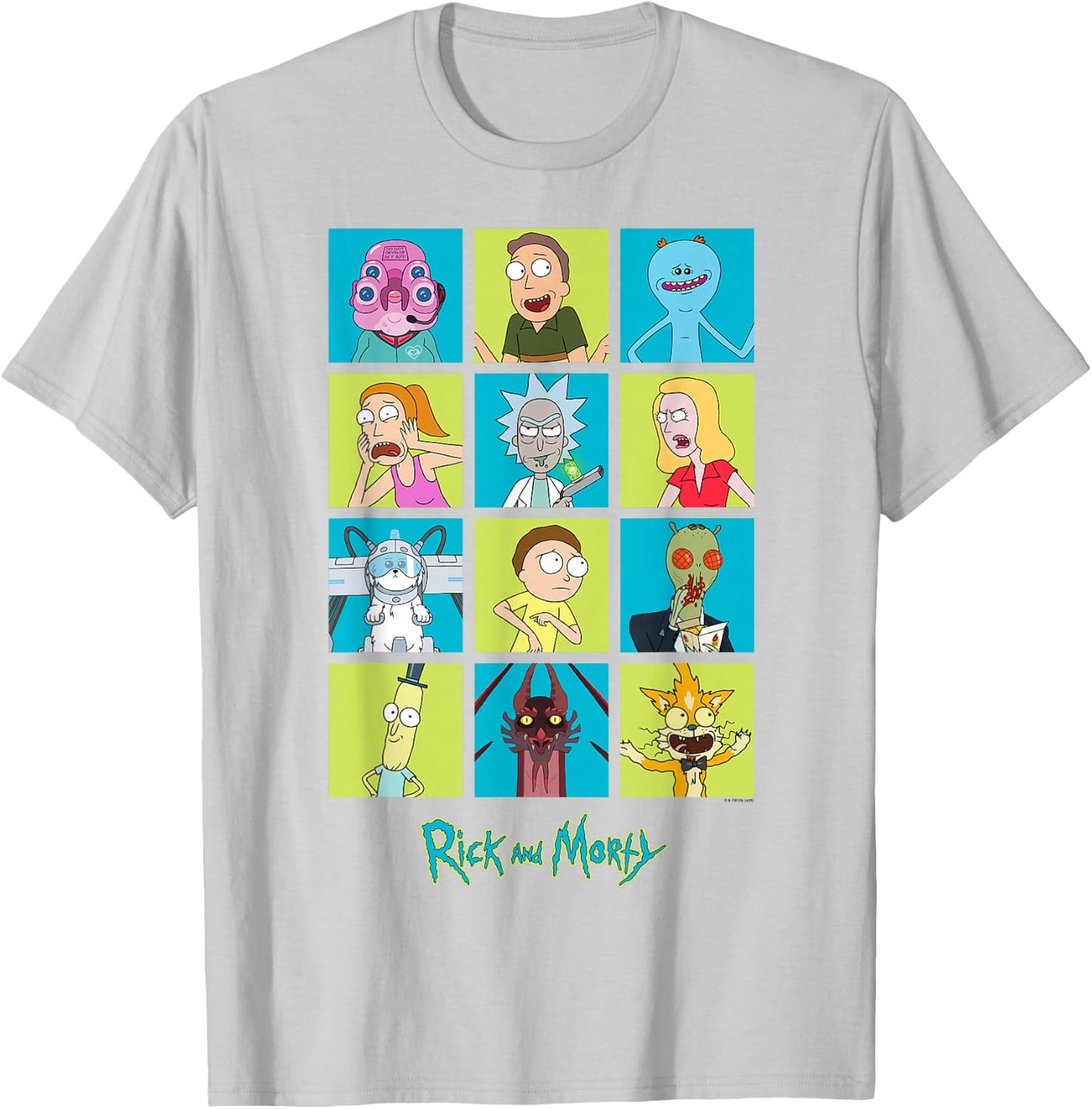 Rick and Morty Characters Adult Cartoon Fashion T-Shirt - T-Shirt | Ash