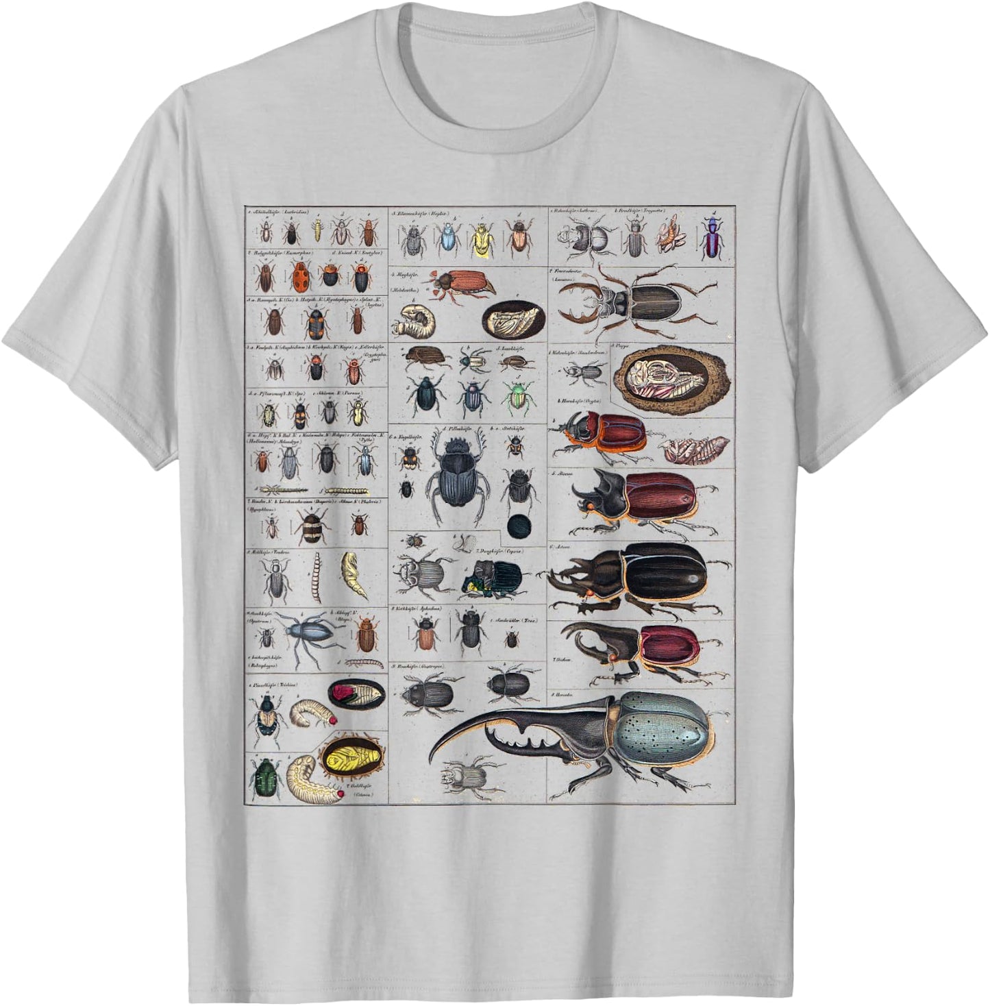 Insects Collection Species Bugs vintage Chart Entomology T-Shirt - T-Shirt | Ash