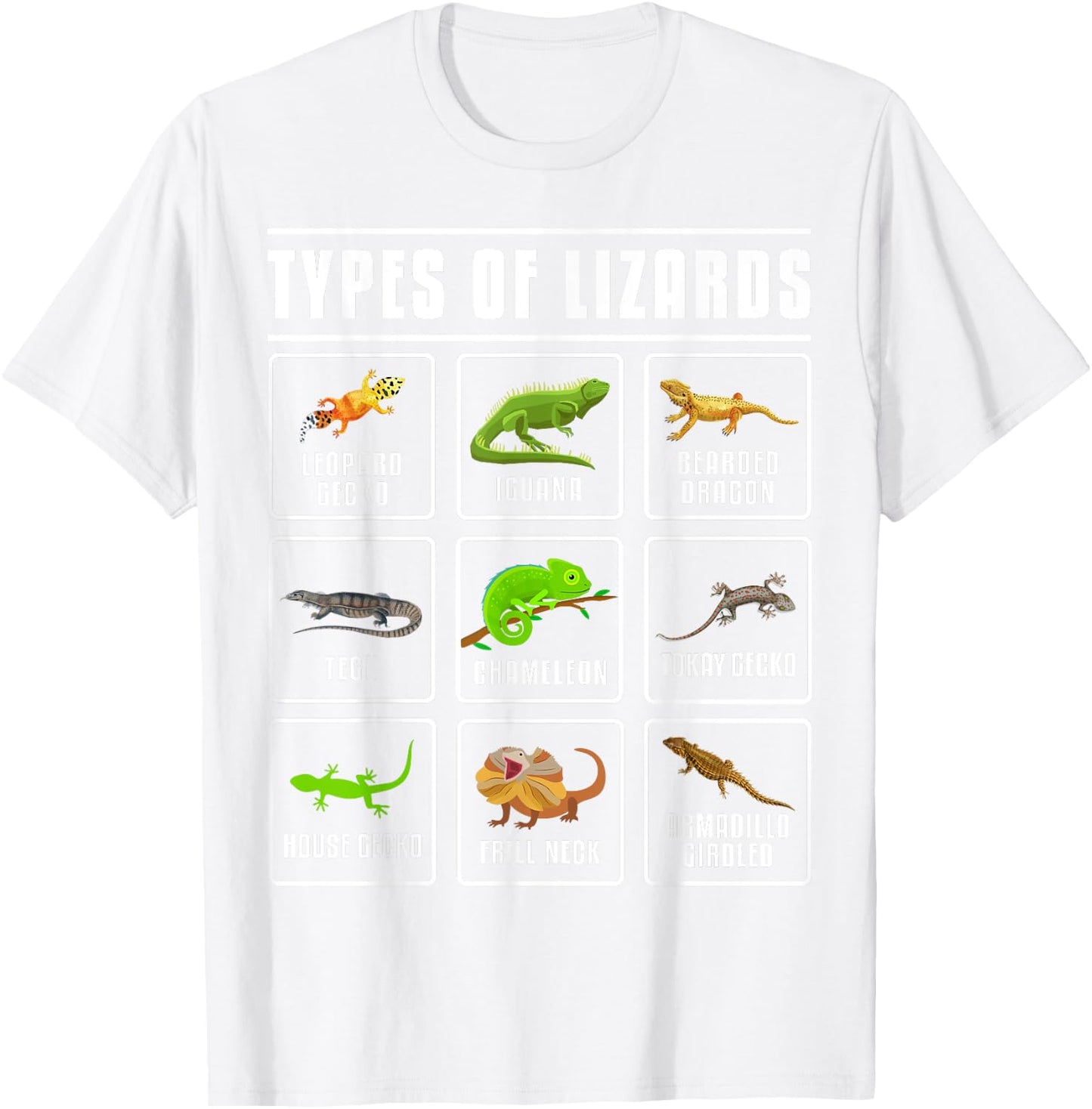 Types of Lizards Lizard Reptiles T-Shirt - T-Shirt | White