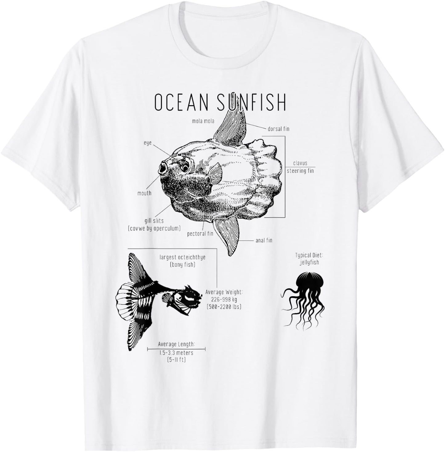 Ocean Sunfish Common Mola Anatomy Mola Mola T-Shirt - T-Shirt | White