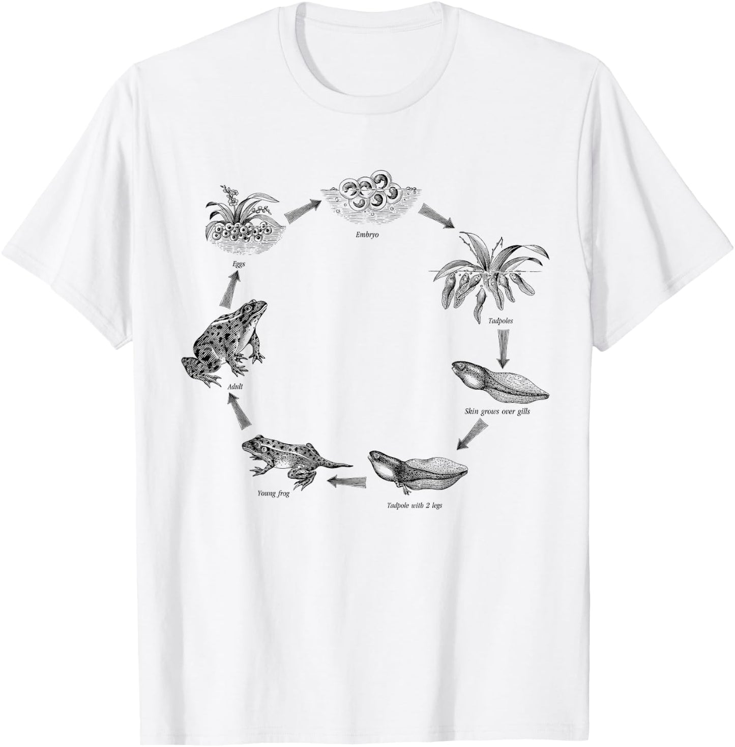 Life cycle of frog, biologist, zoologist, Herpetologist T-Shirt - T-Shirt | White