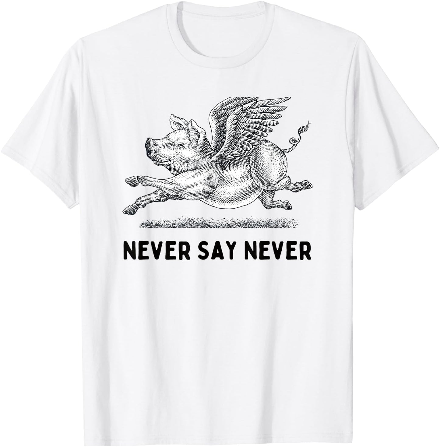 Never Say Never Inspiring Flying Pig Embrace Impossibity T-Shirt - T-Shirt | White