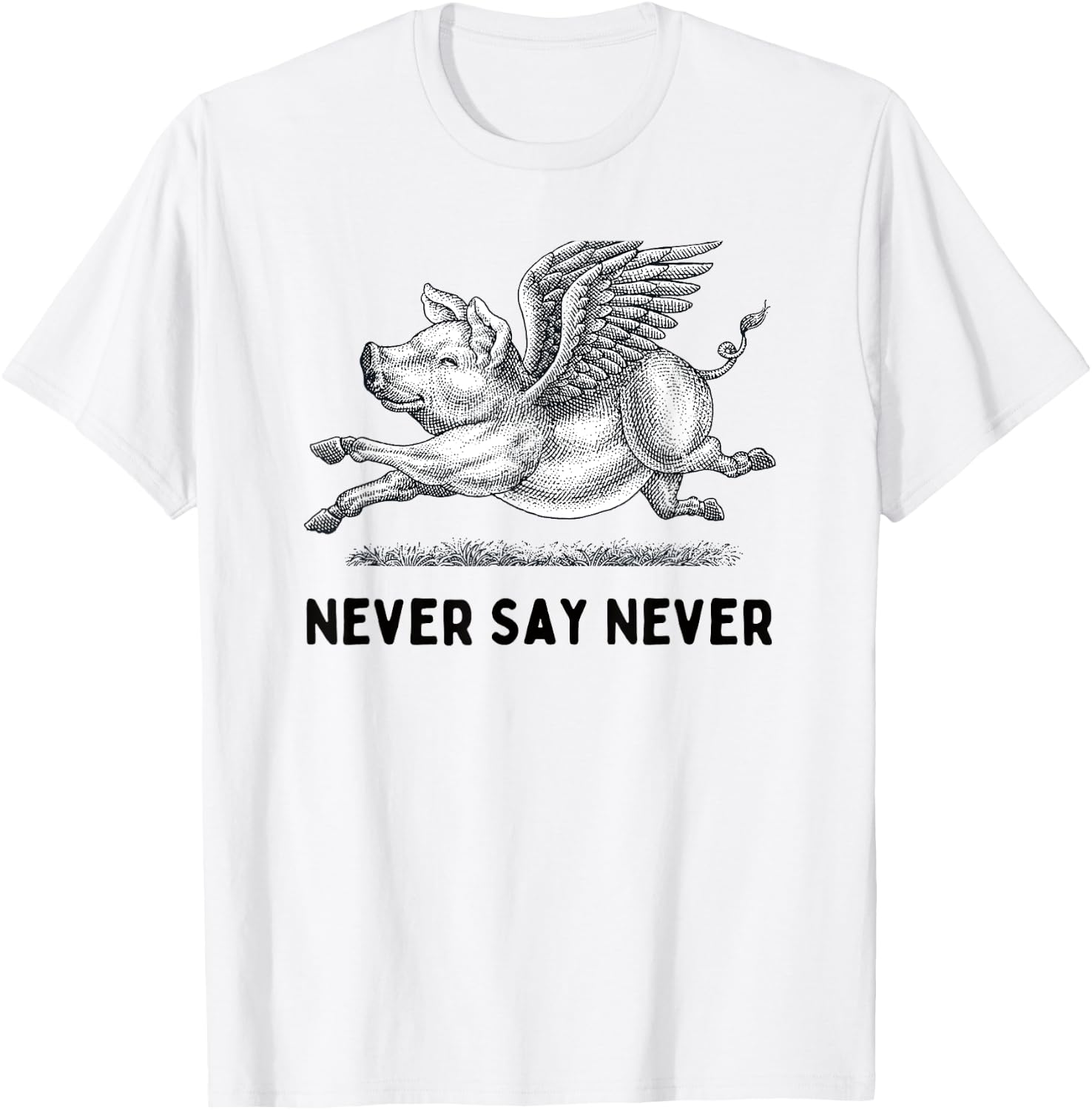 Never Say Never Inspiring Flying Pig Embrace Impossibity T-Shirt - T-Shirt | White