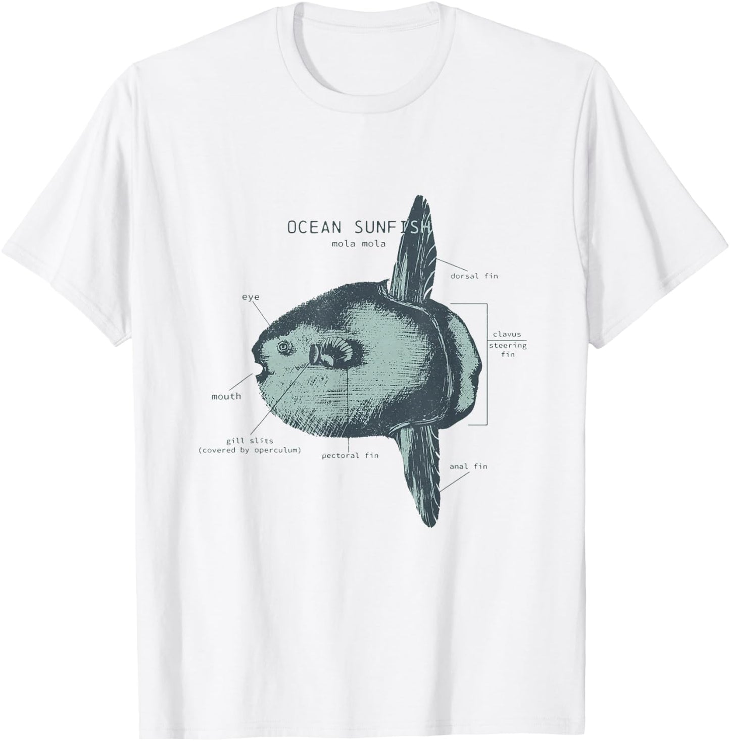 Ocean Sunfish Anatomy Marine Biologist T-Shirt - T-Shirt | White