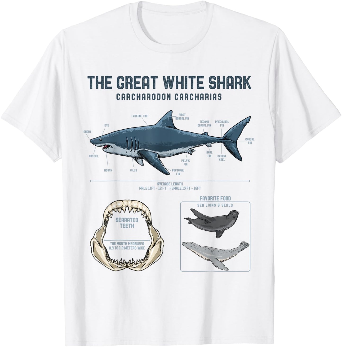 Great White Shark Anatomy Shirt - Shark Marine Biologist T-Shirt - T-Shirt | White