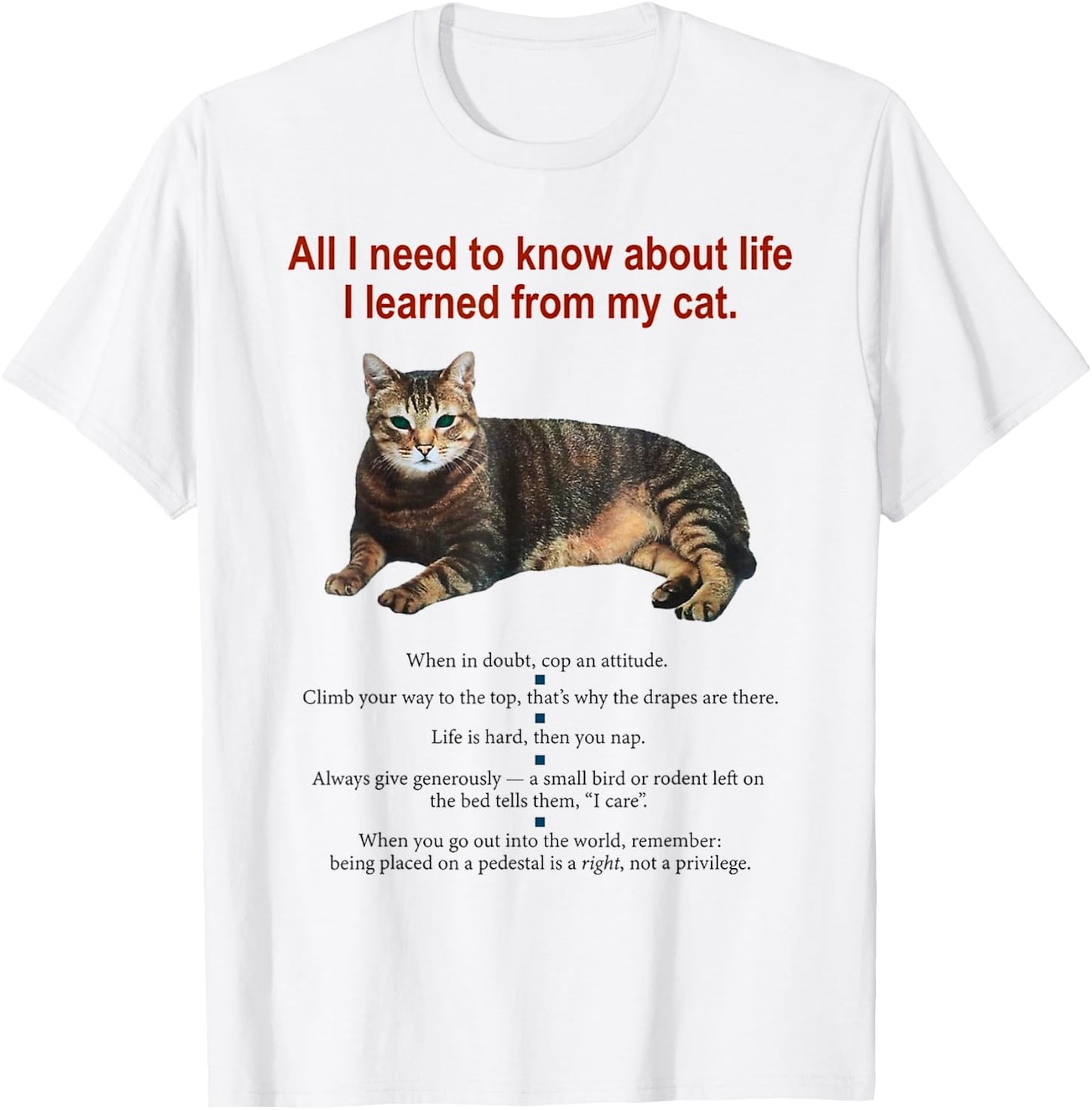 Everything I Need To Know About Life I Learned From My Cat Women T-Shirt - T-Shirt | White