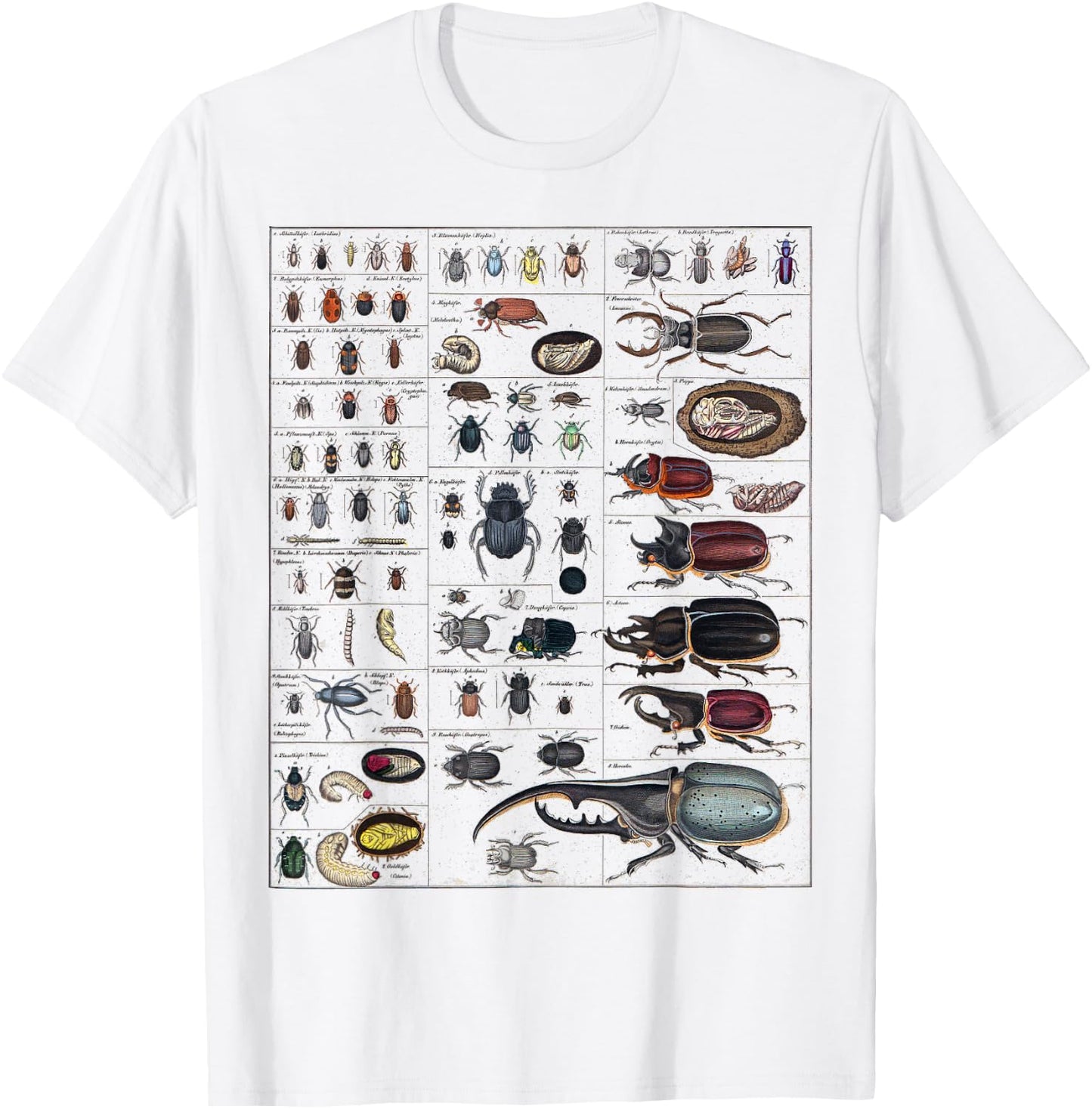 Insects Collection Species Bugs vintage Chart Entomology T-Shirt - T-Shirt | White