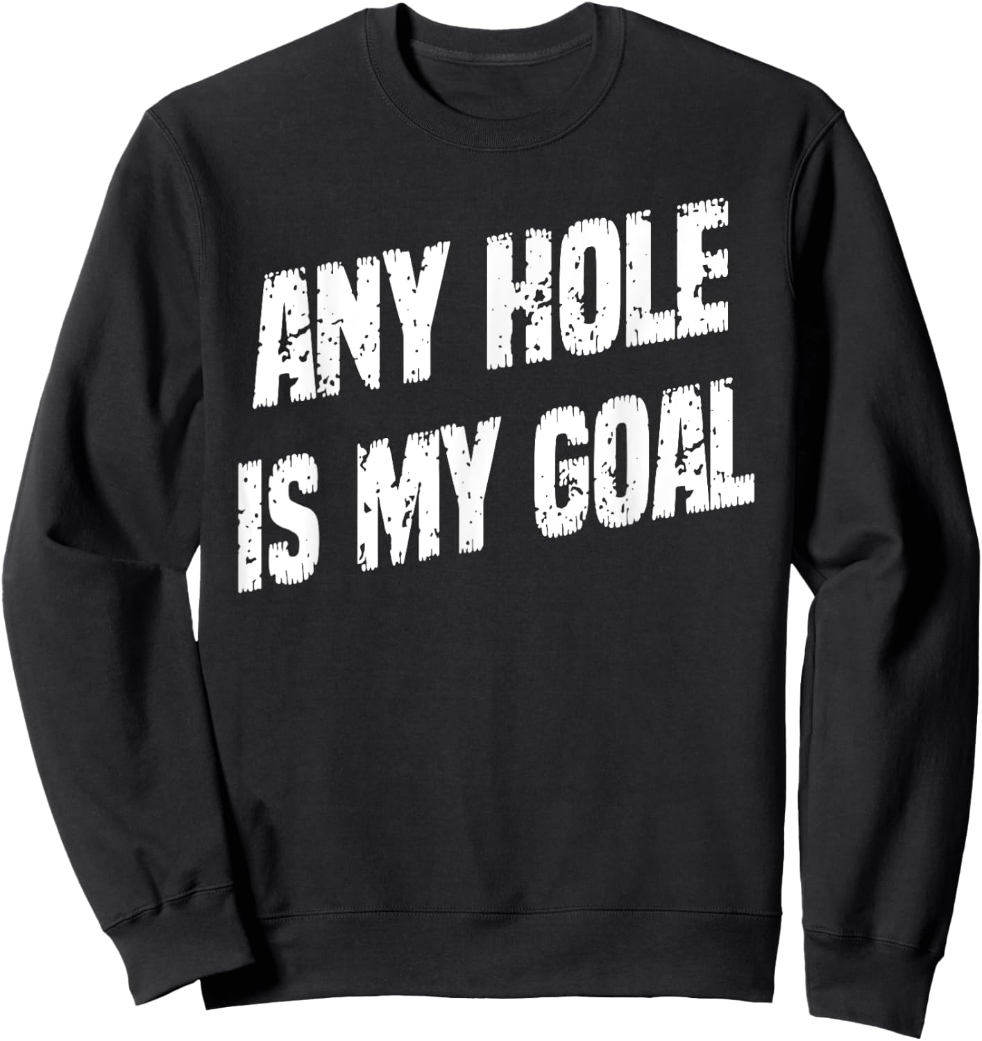 Any Hole Is My Goal Funny Humor Graphic Sweatshirt - Sweatshirt | Black