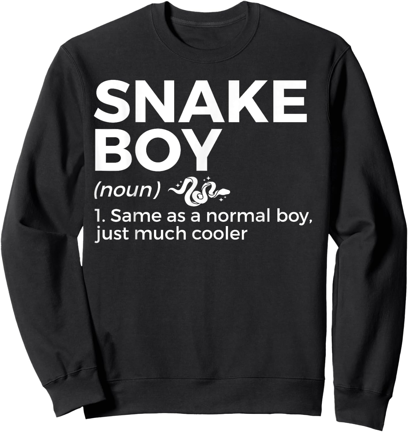 Snake Boy Definition Funny Pet Reptile Lovers Sweatshirt - Sweatshirt | Black