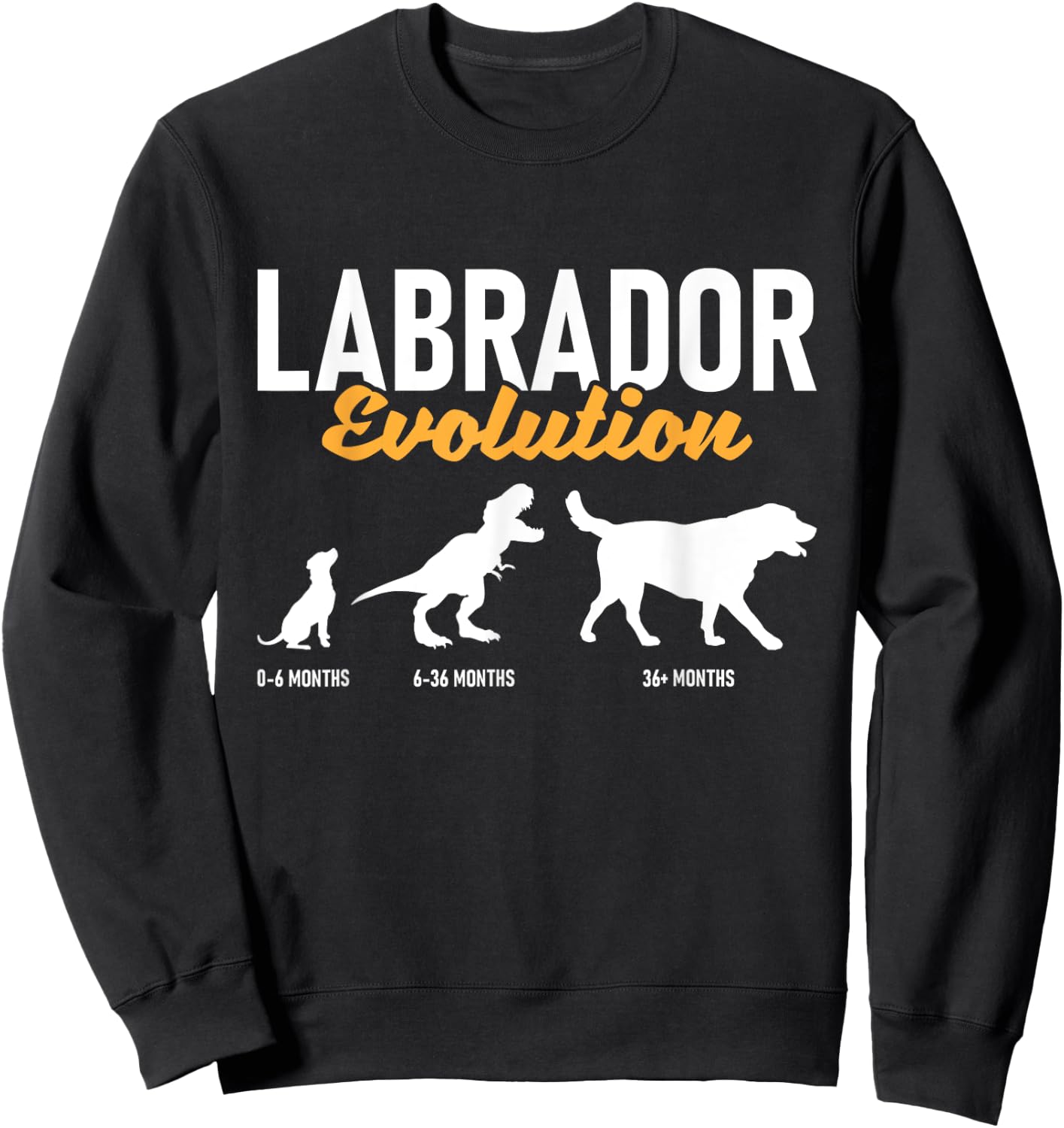Labrador Evolution - Pet Owner Animal Dog Lover Sweatshirt - Sweatshirt | Black