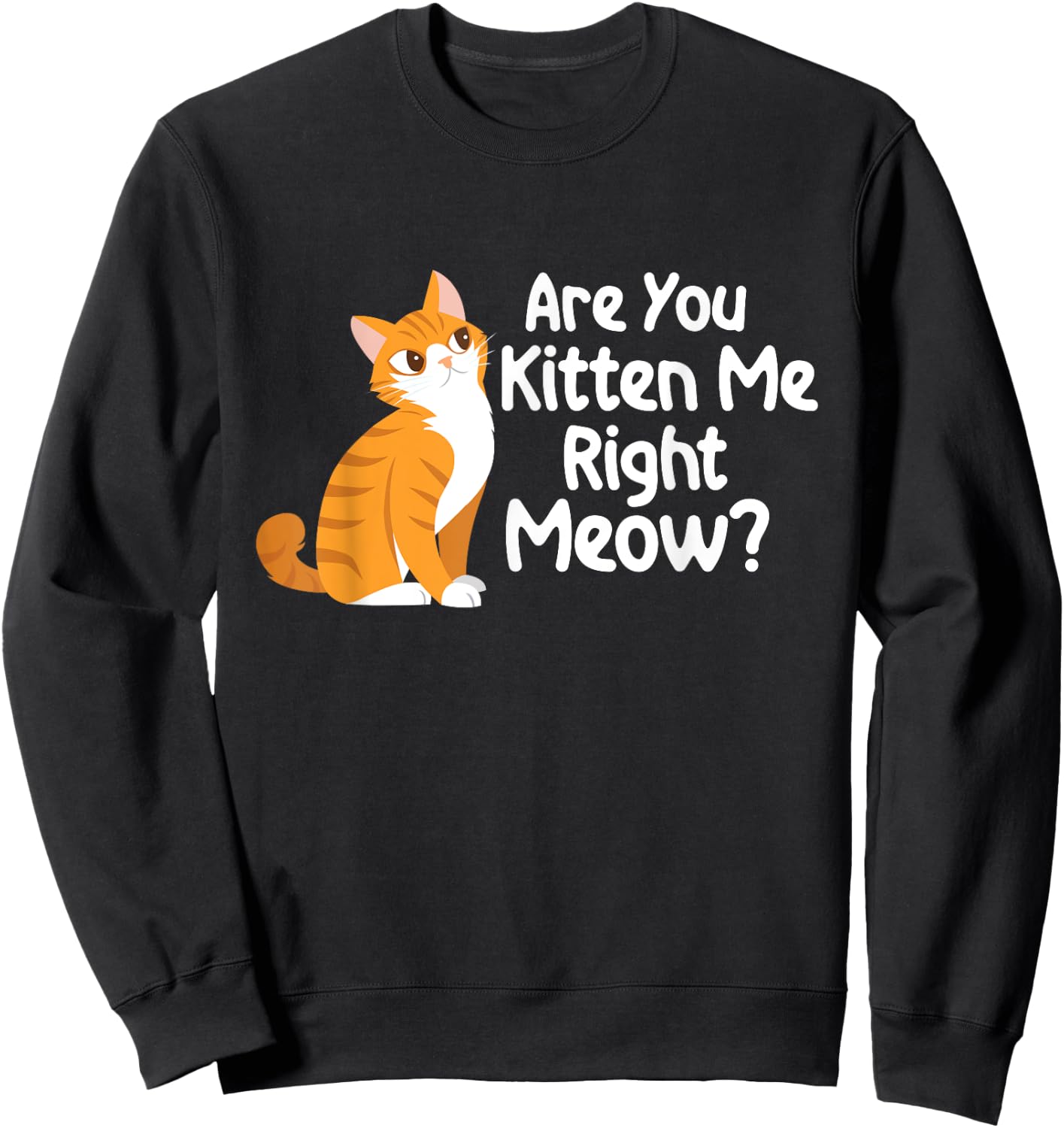Are You Kitten Me Right Meow - Cat Lover Kitty Owner Sweatshirt - Sweatshirt | Black