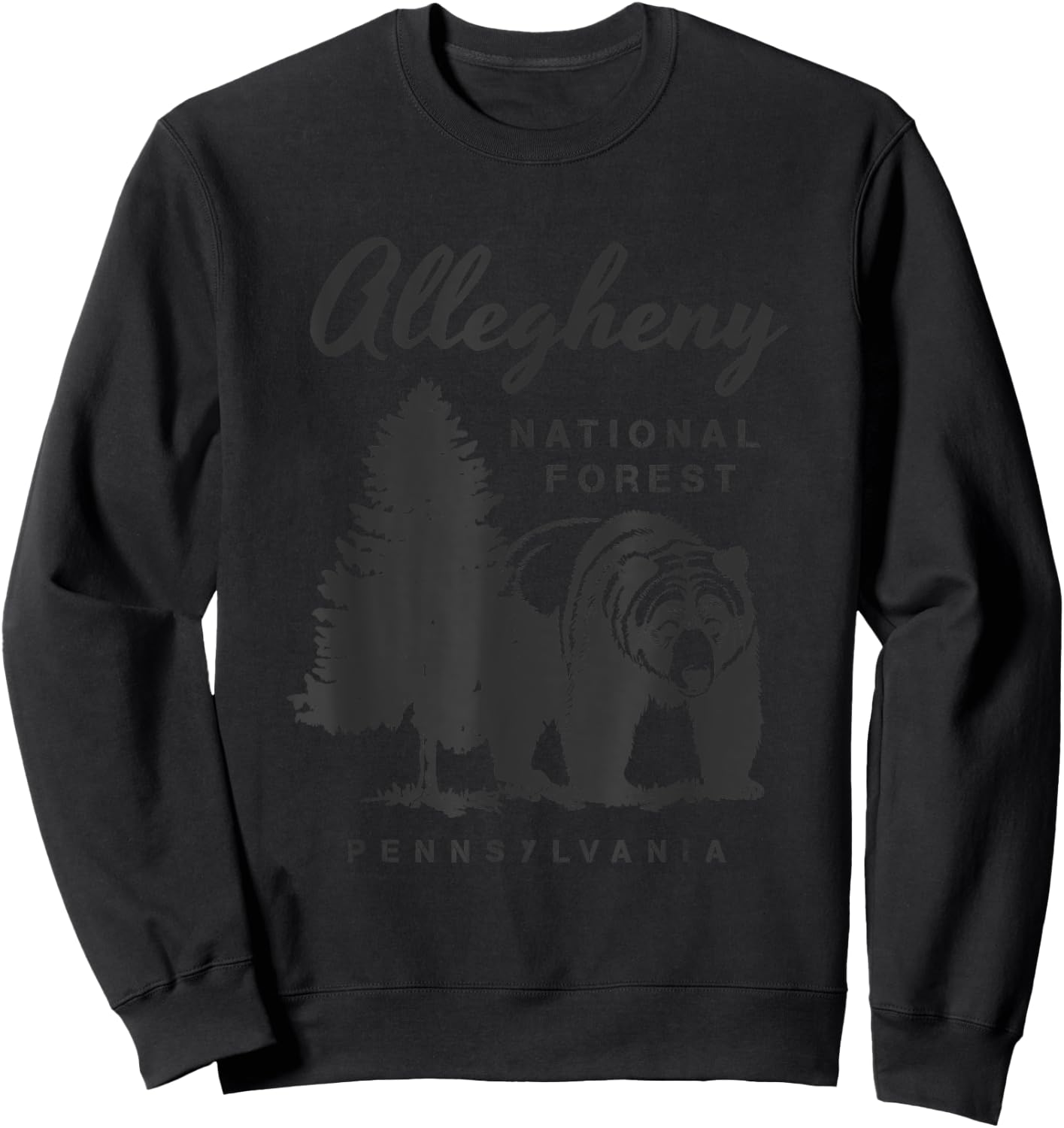 Allegheny National Forest Pennsylvania Vacation Sweatshirt - Sweatshirt | Black