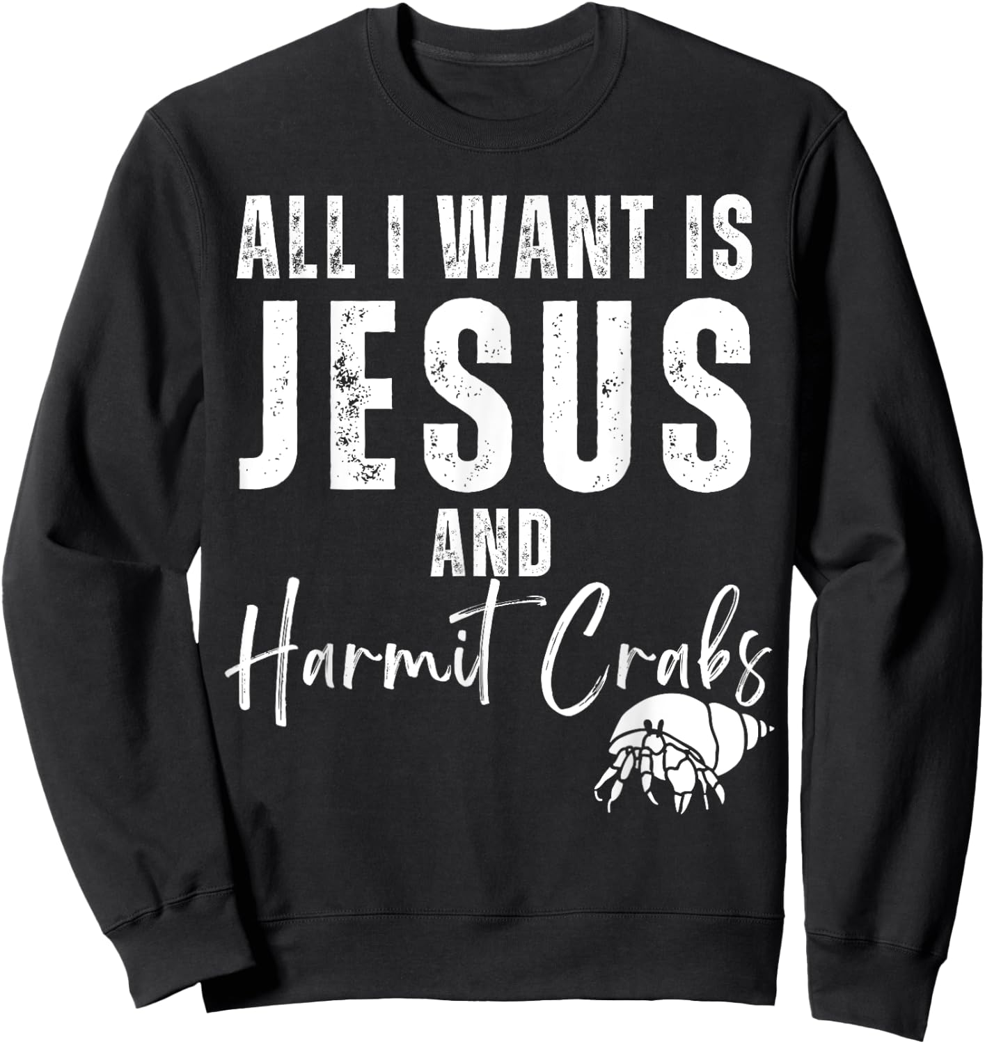All I Want Is Jesus And Hermit Crabs Christian Humor Funny Sweatshirt - Sweatshirt | Black