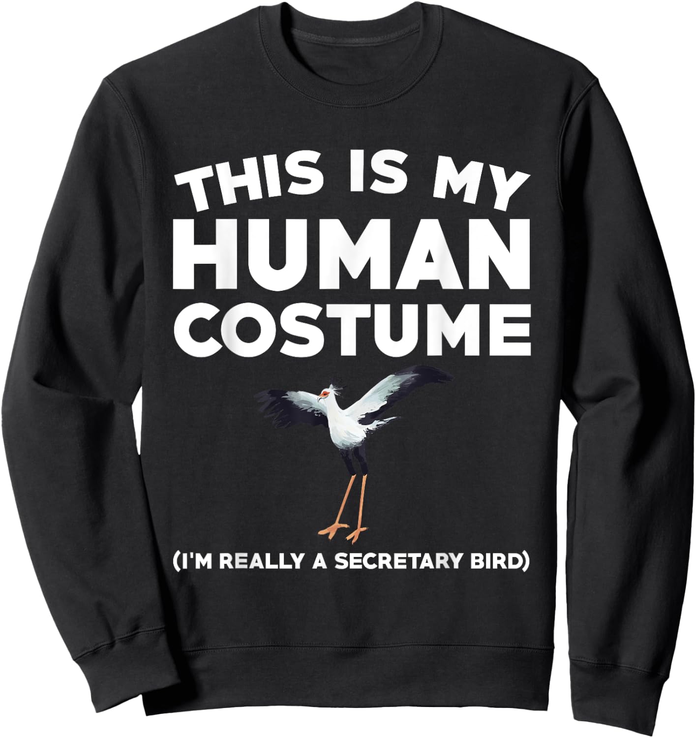 Funny Secretary Bird Watching Saying Birding Lover Sweatshirt - Sweatshirt | Black