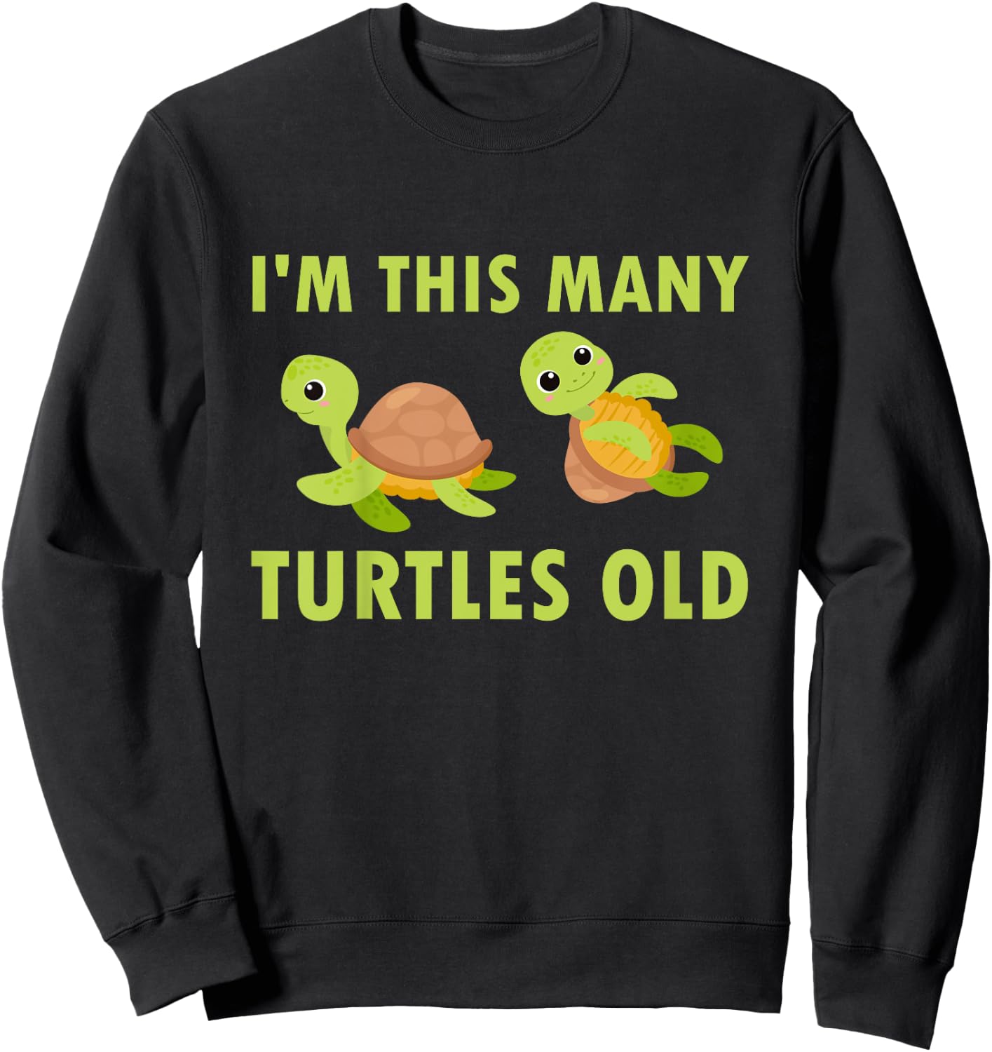 2 Years Old Boy Girl Turtles Old 2nd Birthday Kids Sweatshirt - Sweatshirt | Black