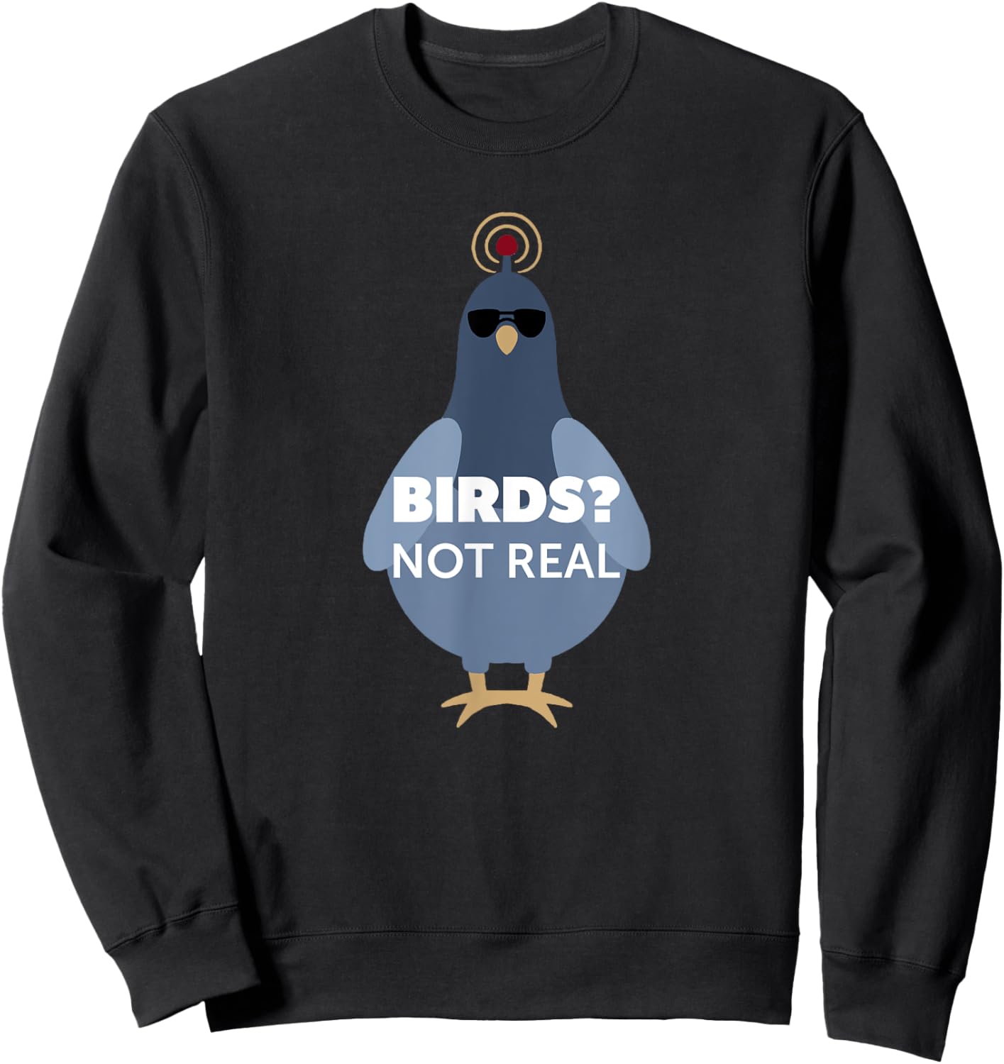 Birds? They Aren't Real Shirt | Funny Conspiracy Theory Sweatshirt - Sweatshirt | Black