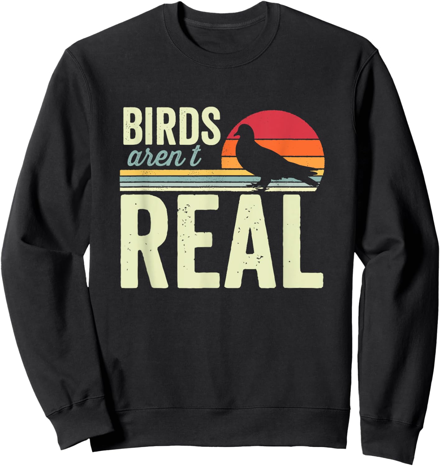 Birds Aren't Real Conspiracy Theory Surveillance Sweatshirt - Sweatshirt | Black