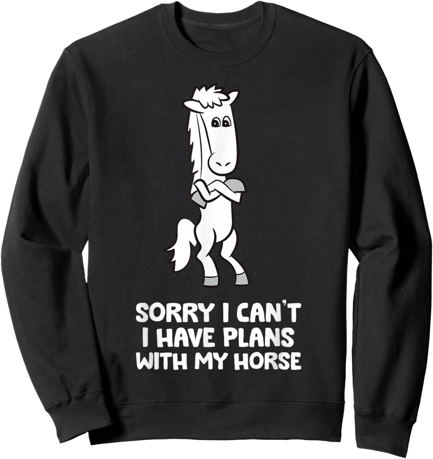 Sorry I Can't I Have Plans With My Horse Funny Equestrian Sweatshirt - Sweatshirt | Black