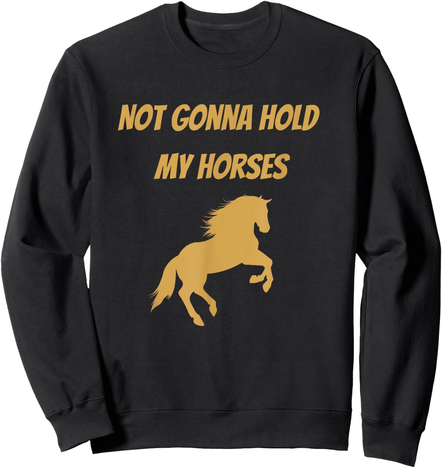 Funny Horse Quote Graphic Not Gonna Hold My Horses Sweatshirt - Sweatshirt | Black