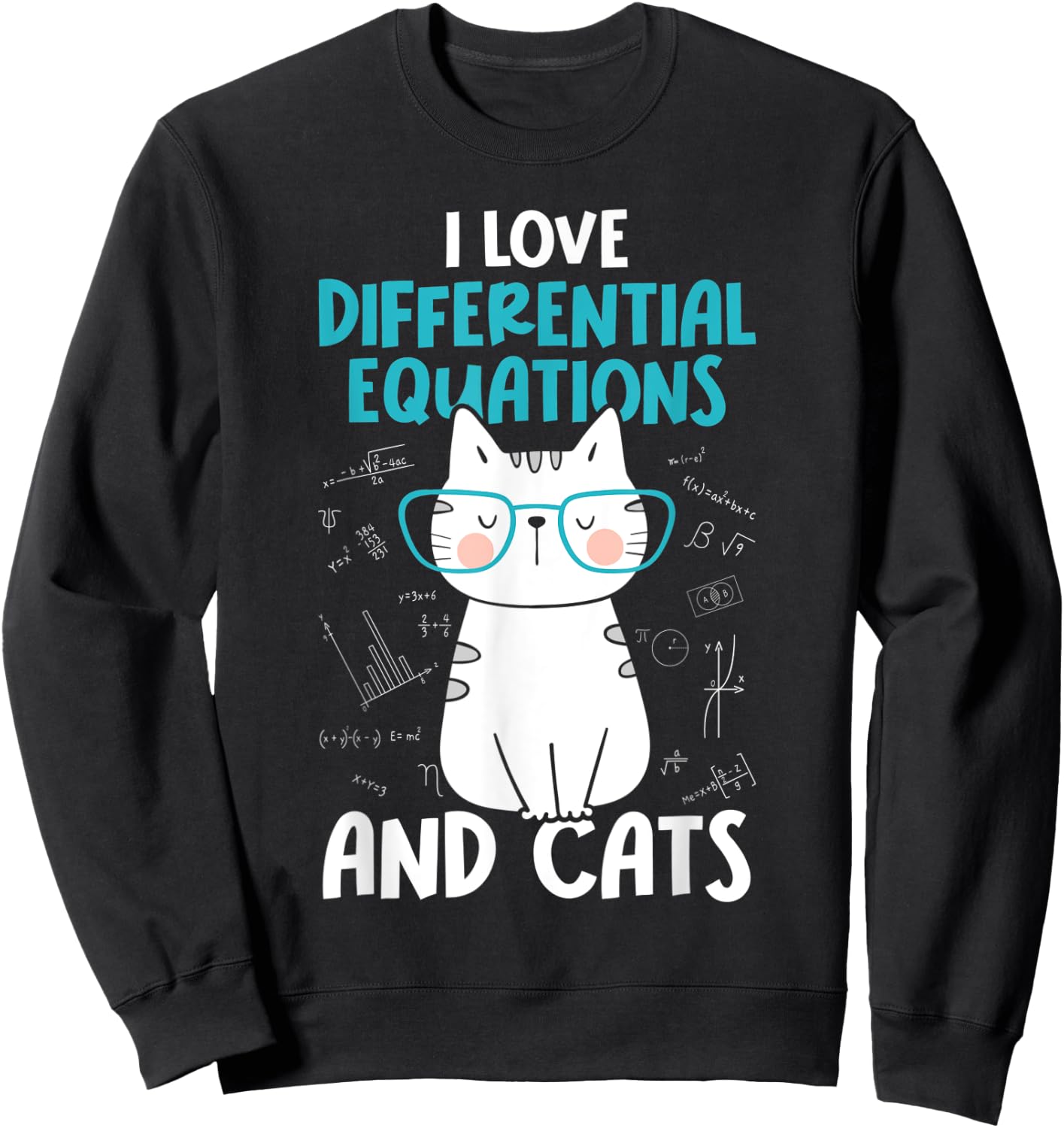 I Love Math and Cats - Funny Differential Equations Sweatshirt - Sweatshirt | Black