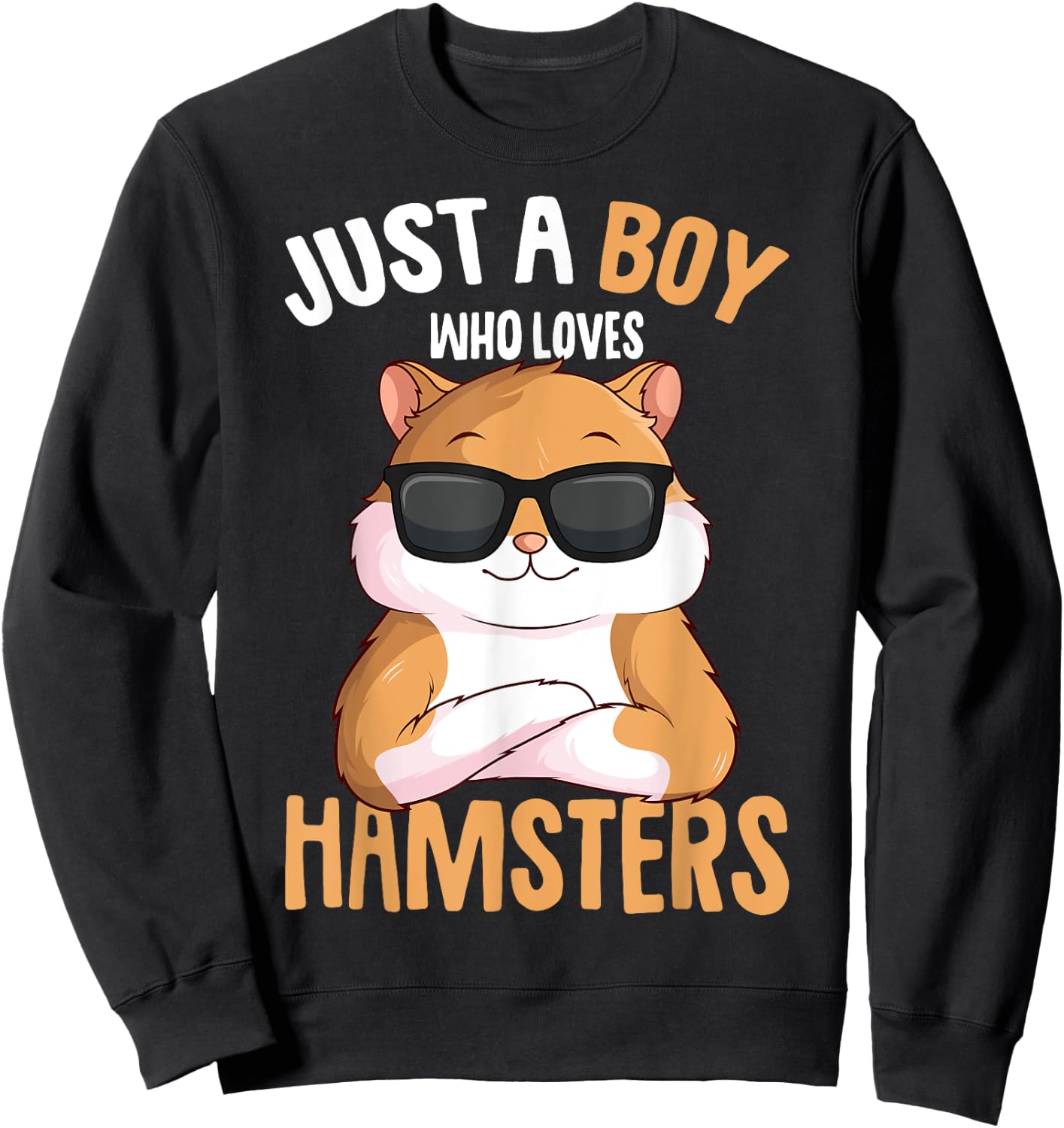 Just a Boy who loves Hamsters Boys Kids Hamster Sweatshirt - Sweatshirt | Black