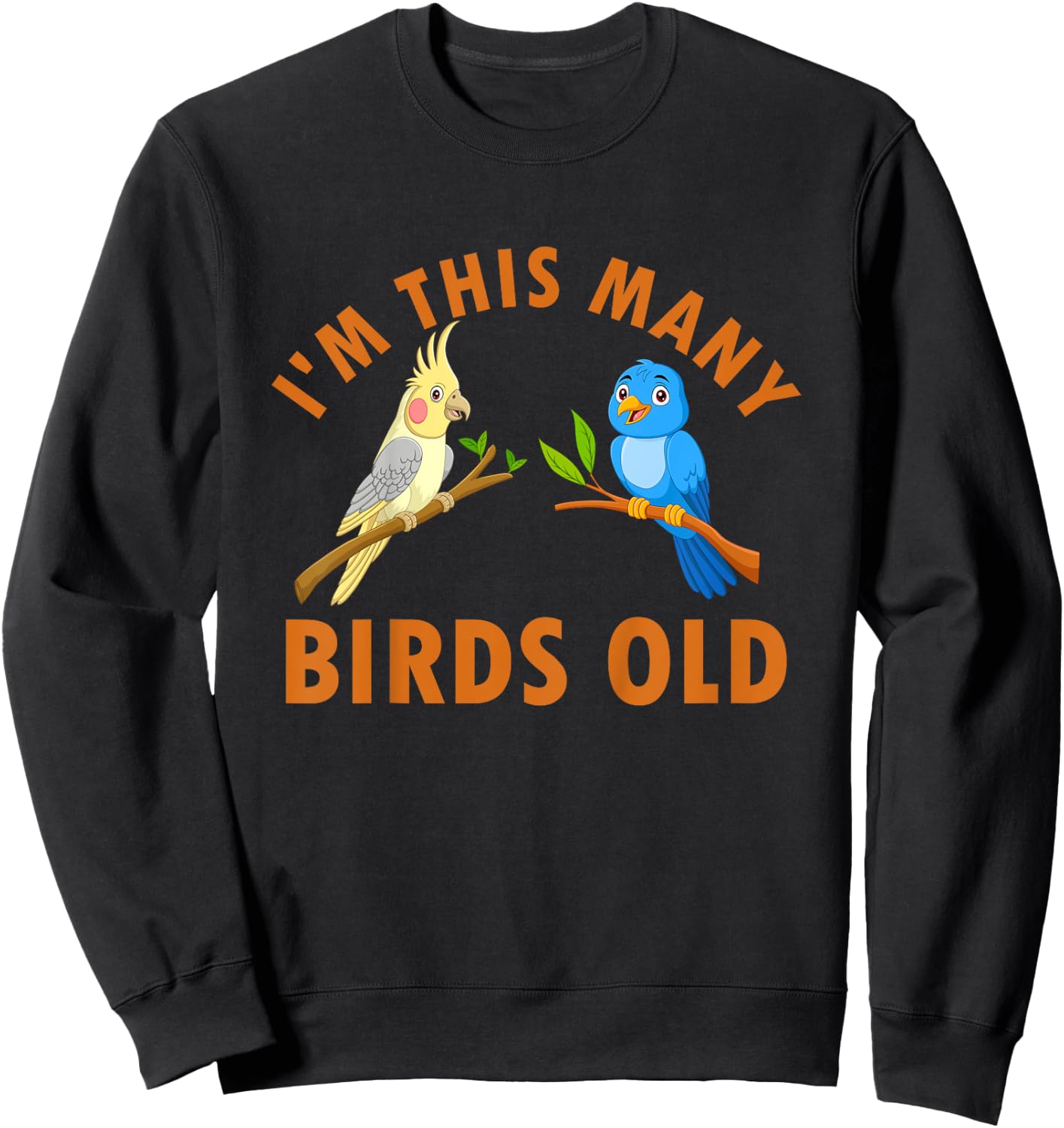 2 Year Old Birds Old 2nd Birthday Kids Sweatshirt - Sweatshirt | Black