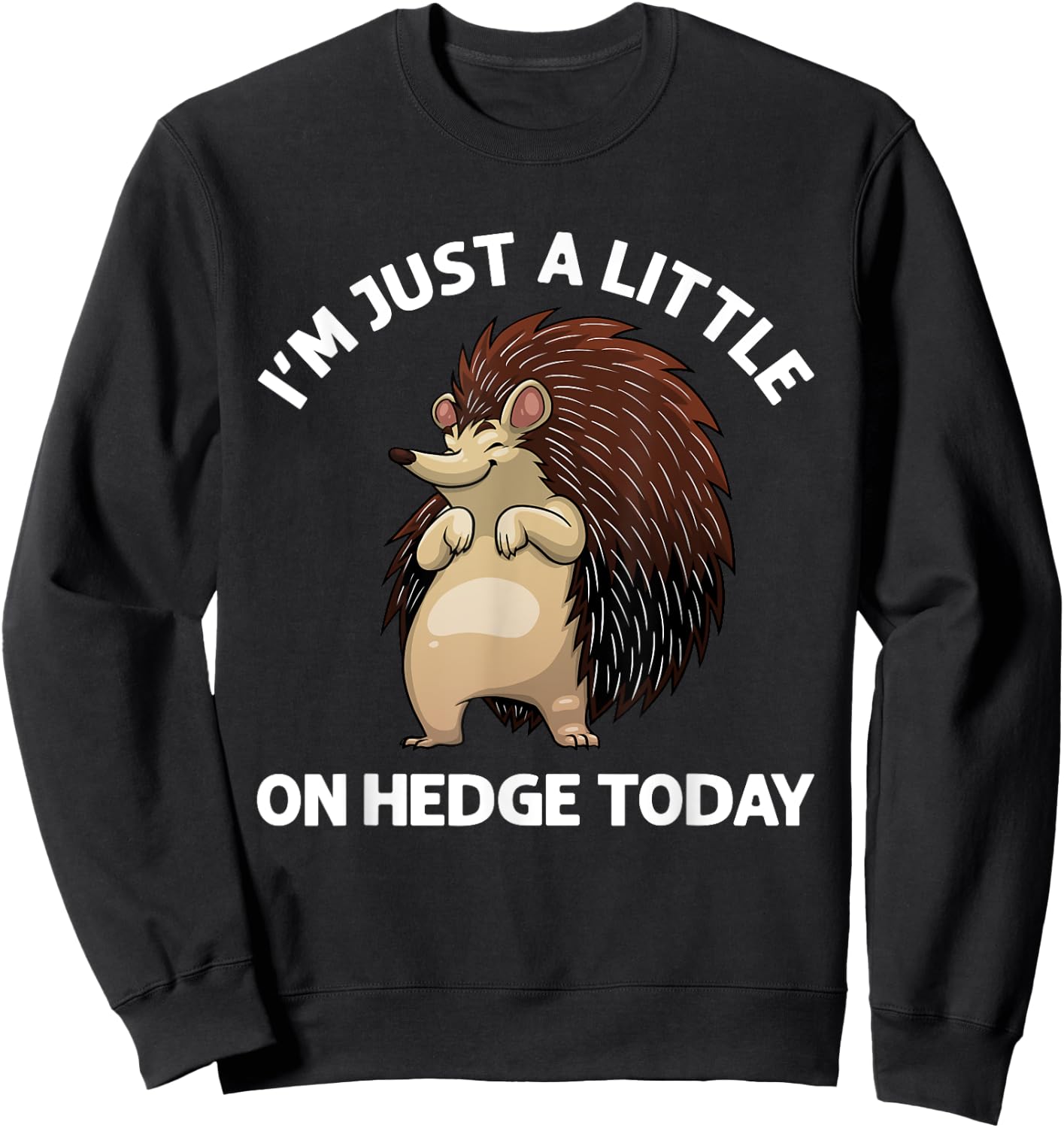 Funny Hedgehog Design Women Hedgehog Lover Porcupine Sweatshirt - Sweatshirt | Black