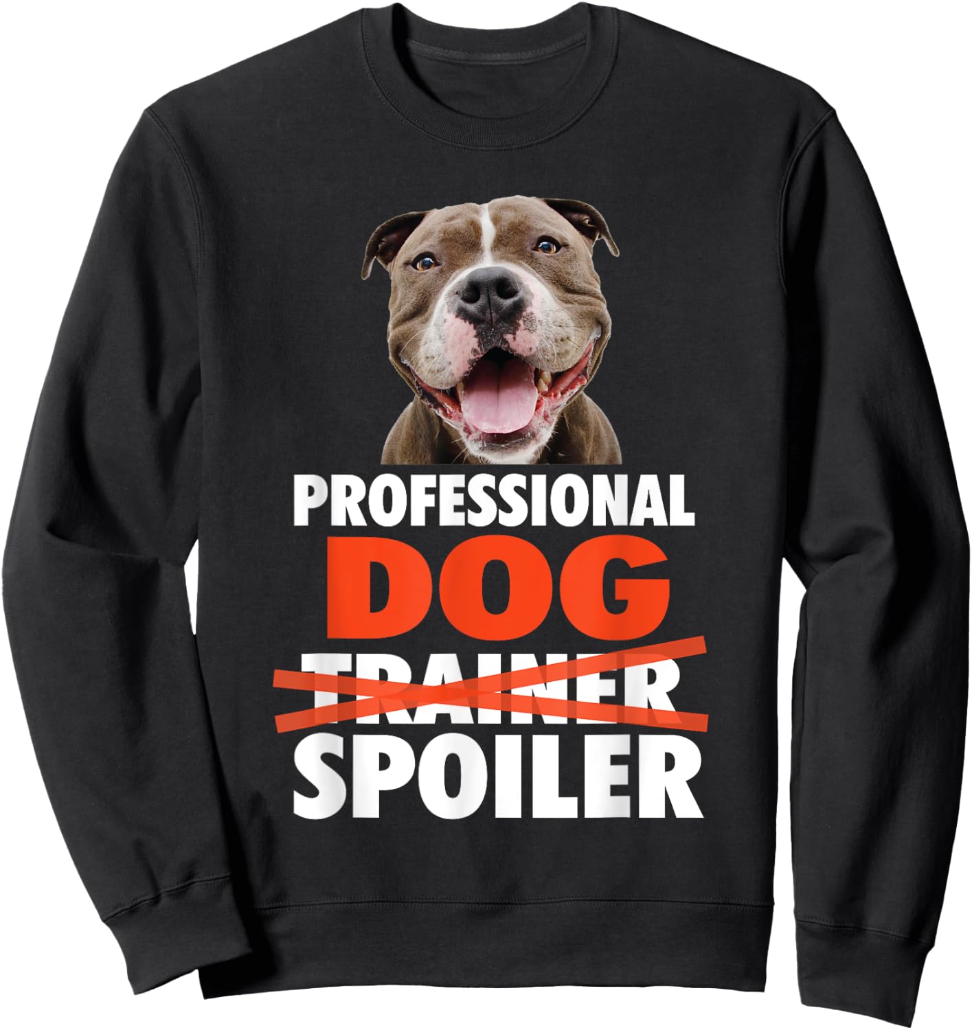 Professional Dog Spoiler - Animal Pet Lover Dog Owner Men Women Girls Kids Sweatshirt - Sweatshirt | Black