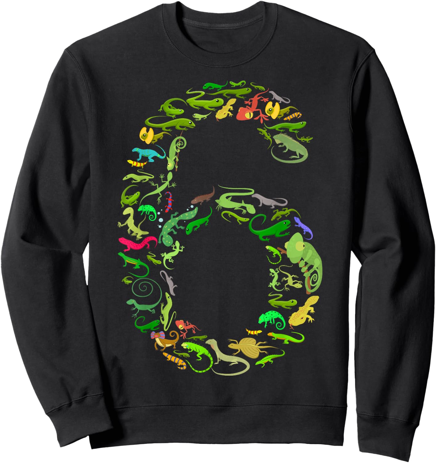 6th Birthday Lizard Reptile Birthday Party 6 Year Old Sweatshirt - Sweatshirt | Black