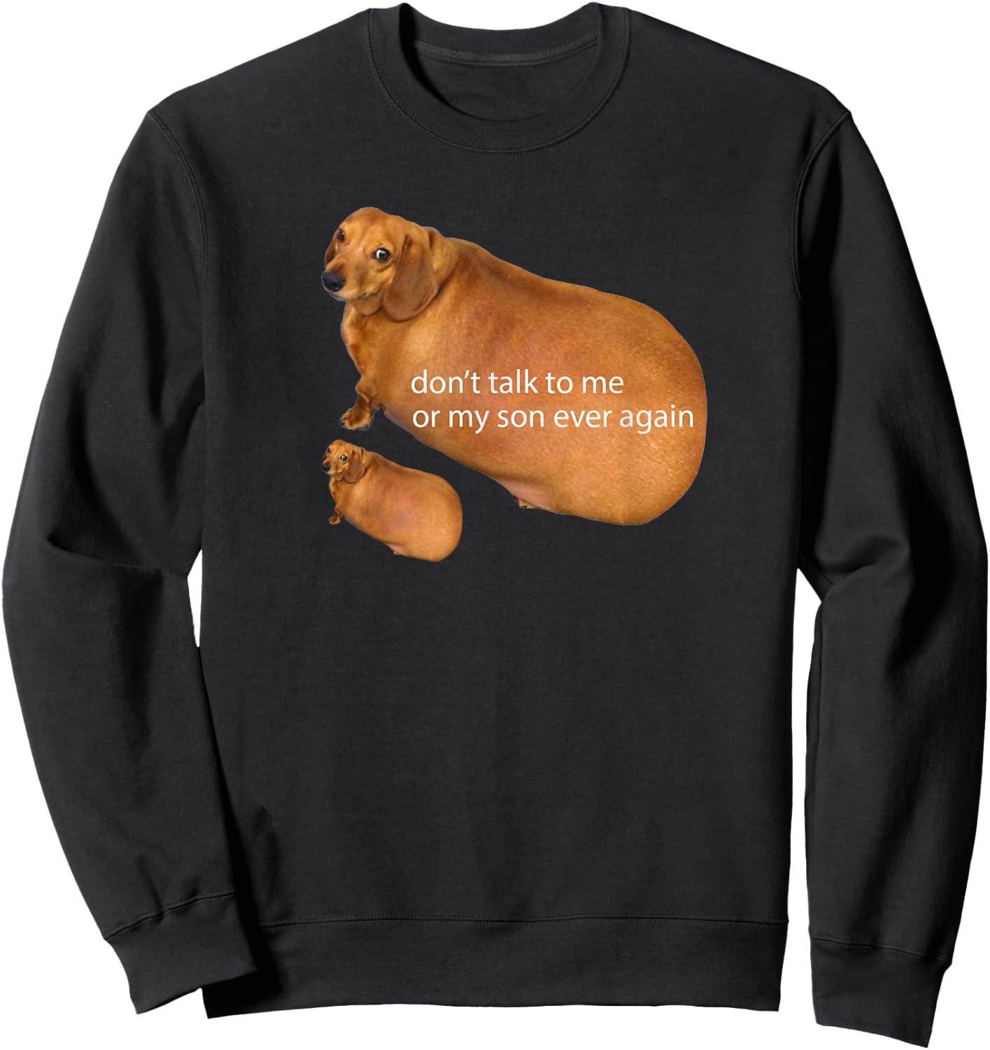 Don't Talk To Me Or My Son Ever Again Funny Dachshund Meme Sweatshirt - Sweatshirt | Black