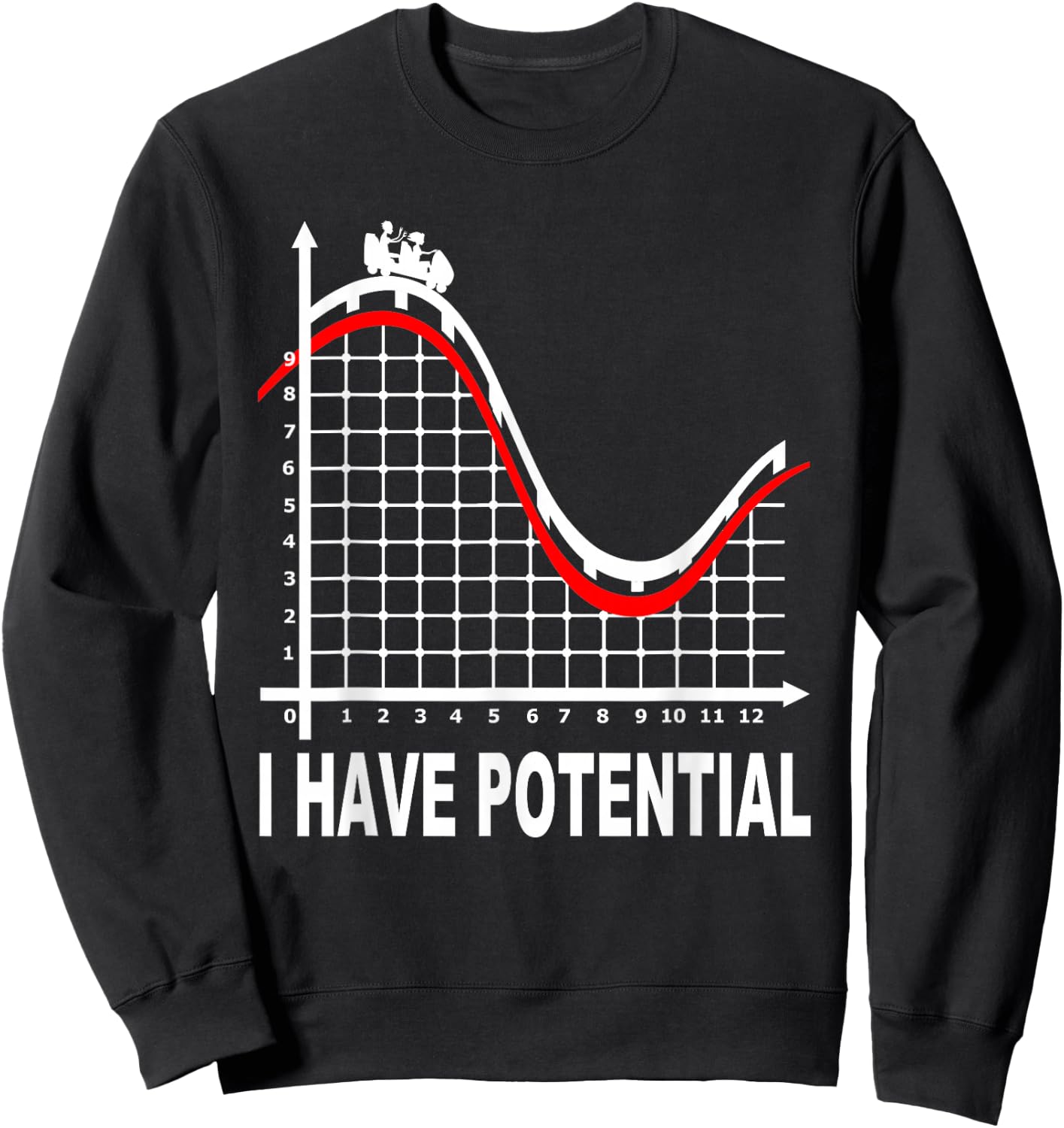 I Have Potential Energy -Roller Coaster- Funny Physics Sweatshirt - Sweatshirt | Black