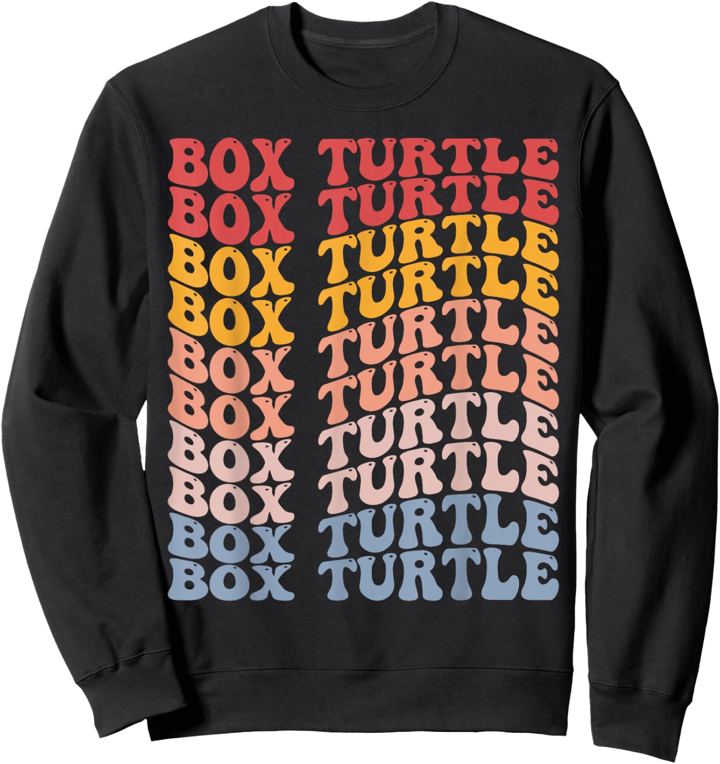 Box Turtle Groovy Retro Sweatshirt - Sweatshirt | Black