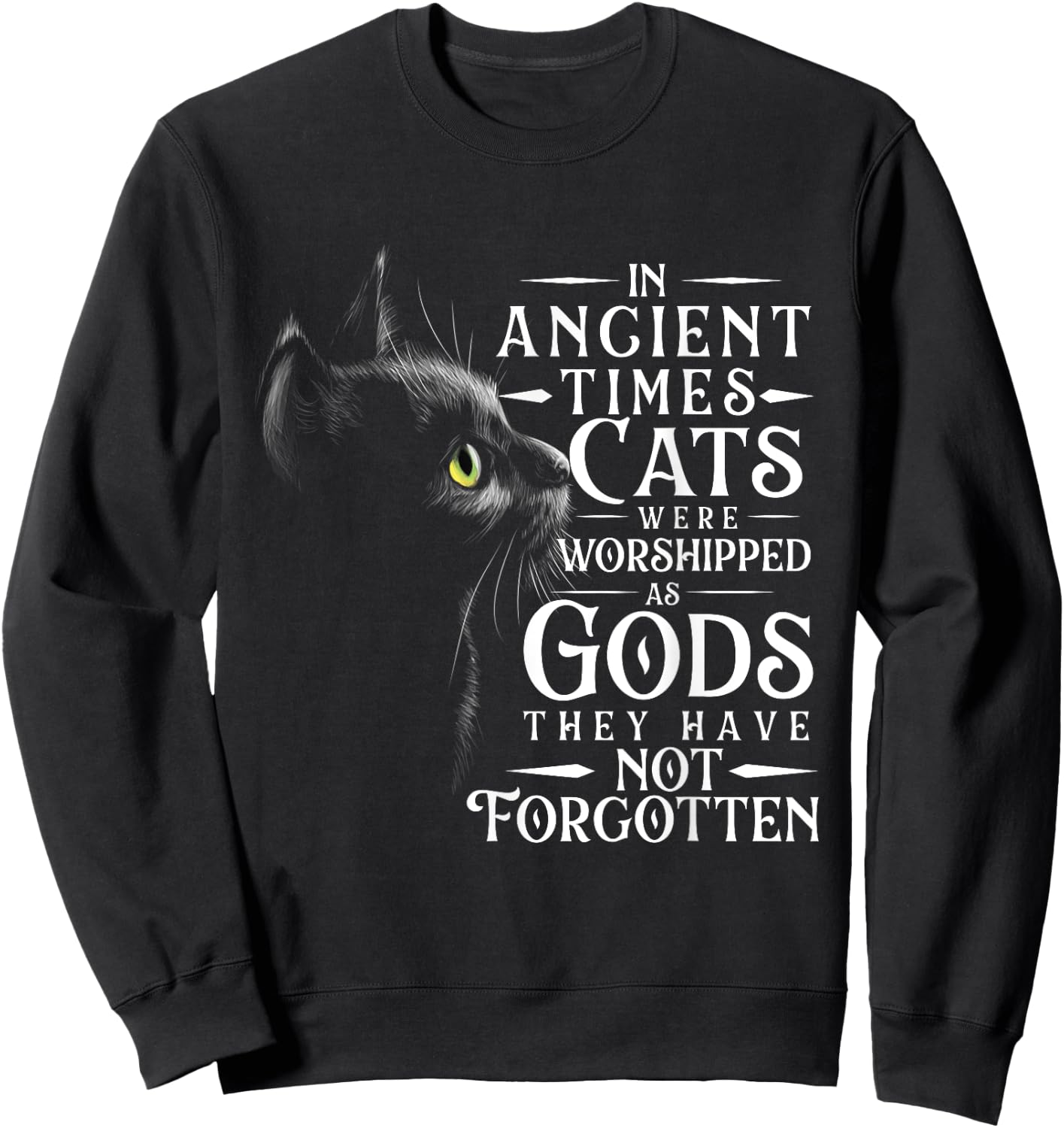 In Ancient Times Cats Were Worshipped As Gods - Pet Lover Sweatshirt - Sweatshirt | Black