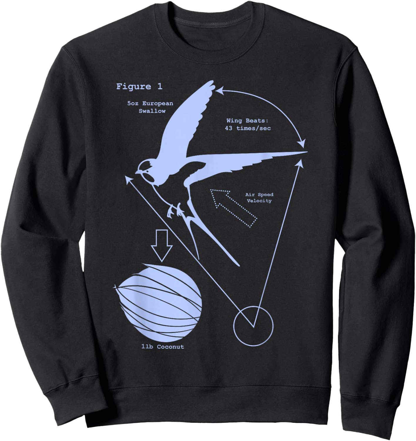 Airspeed Velocity with a Coconut and a European Swallow Sweatshirt - Sweatshirt | Black