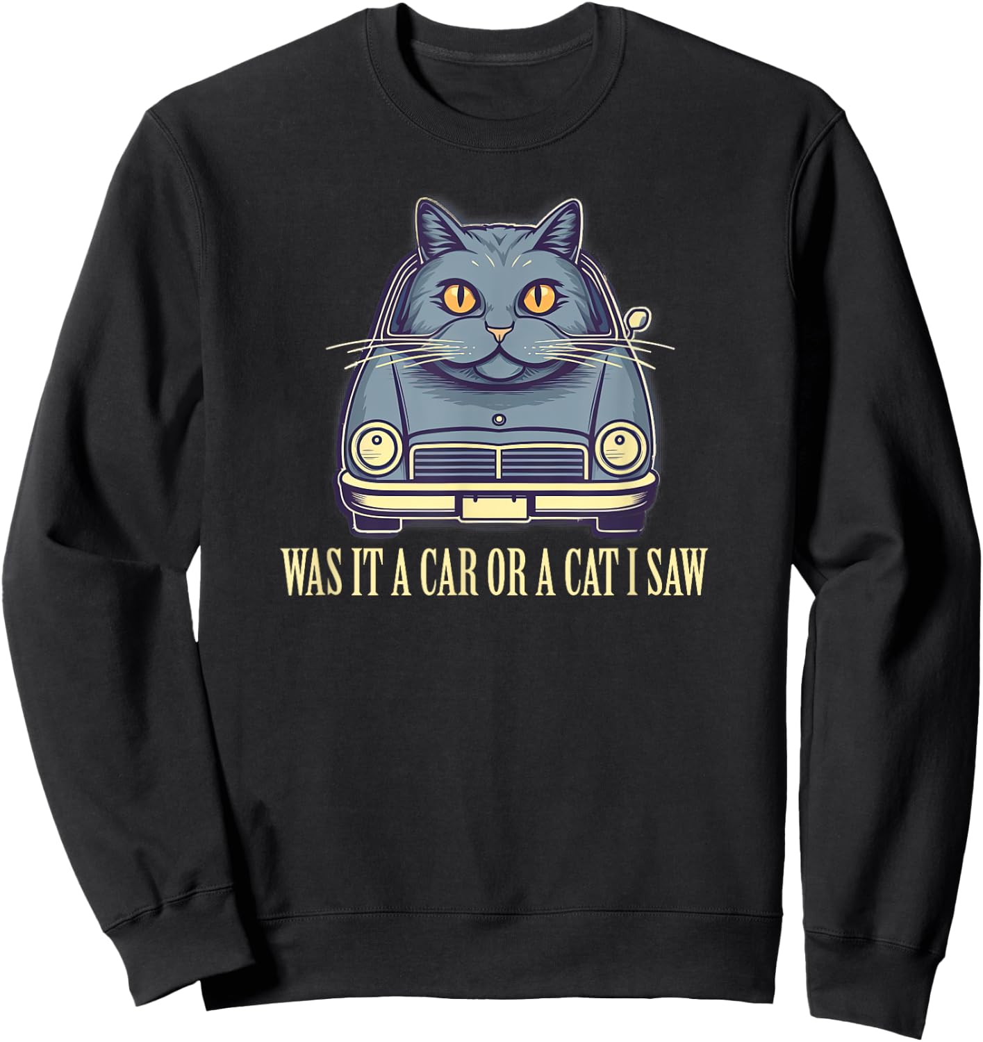 A Funny Palindrome - Was it a Car or a Cat I Saw? Women Girls Kids Sweatshirt - Sweatshirt | Black