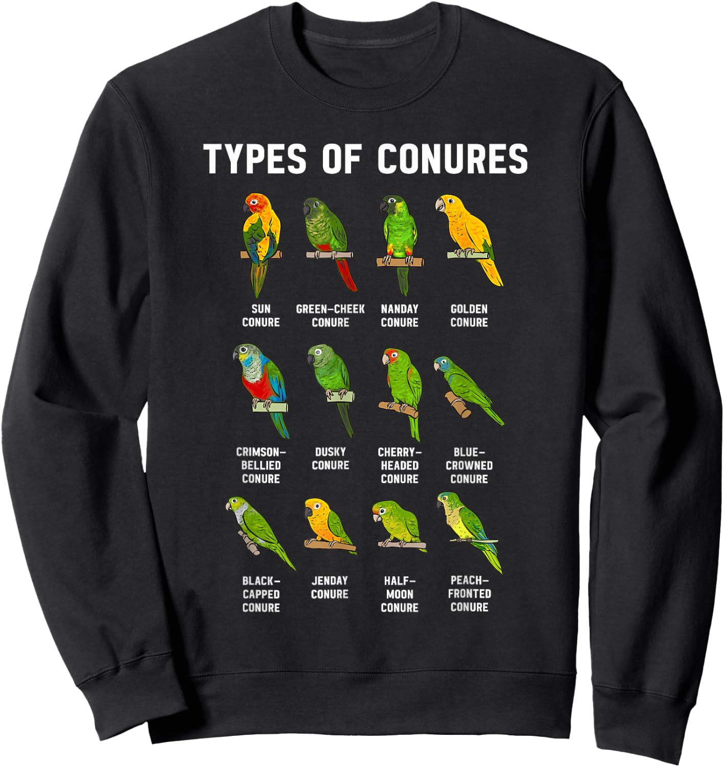 Sun Conure Types Of Conures Parrot Bird Green Cheek Conure Sweatshirt - Sweatshirt | Black