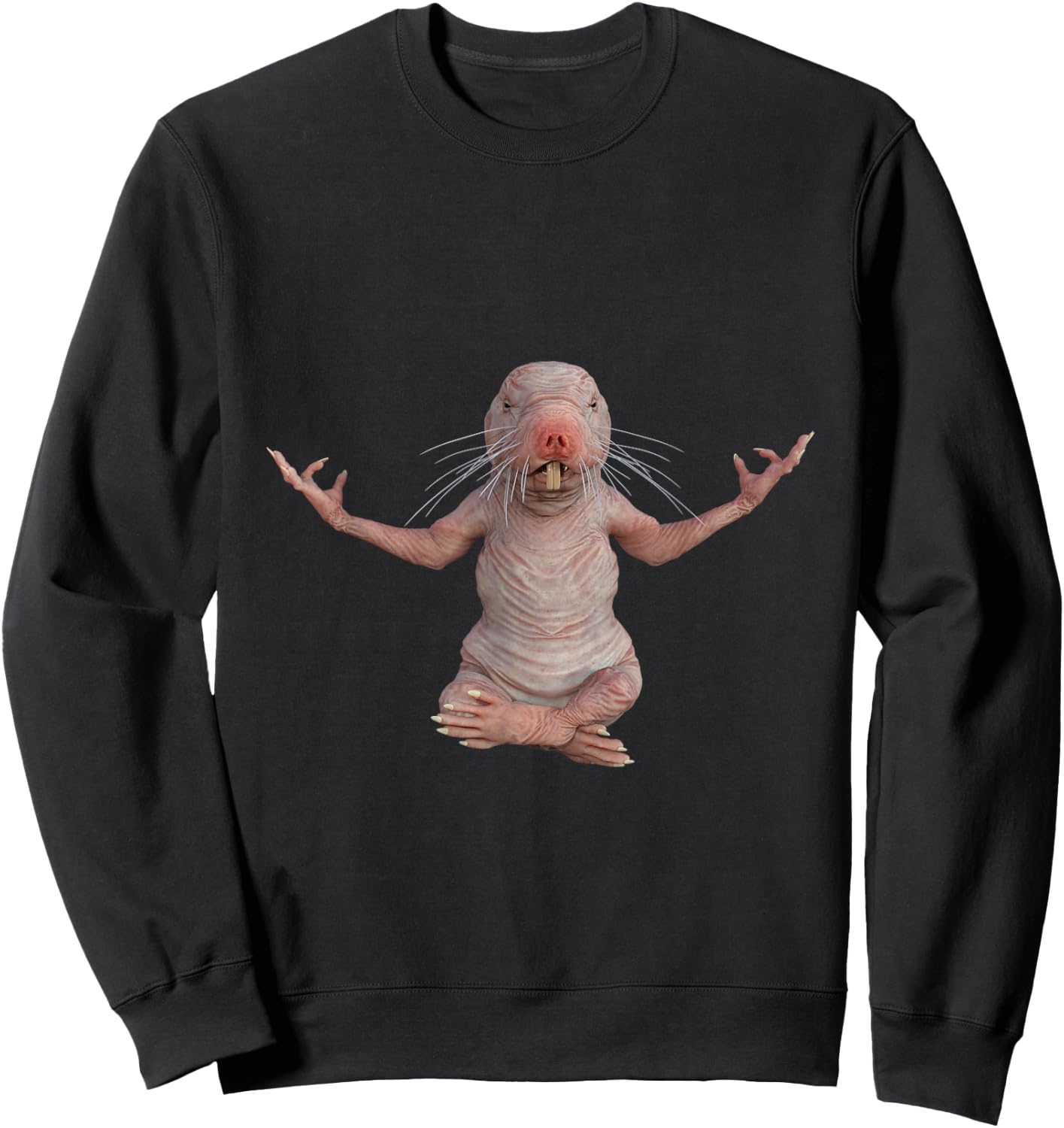 Funny Naked Mole-Rat Zookeeper Yoga Animal Lover Mole Rat Sweatshirt - Sweatshirt | Black