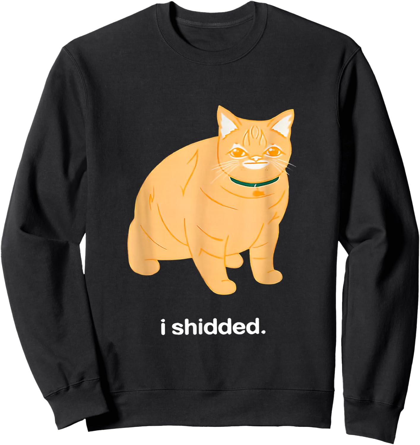 I Shidded Funny Cat Trendy Cat Lovers Cat Mom Women Girls Sweatshirt - Sweatshirt | Black
