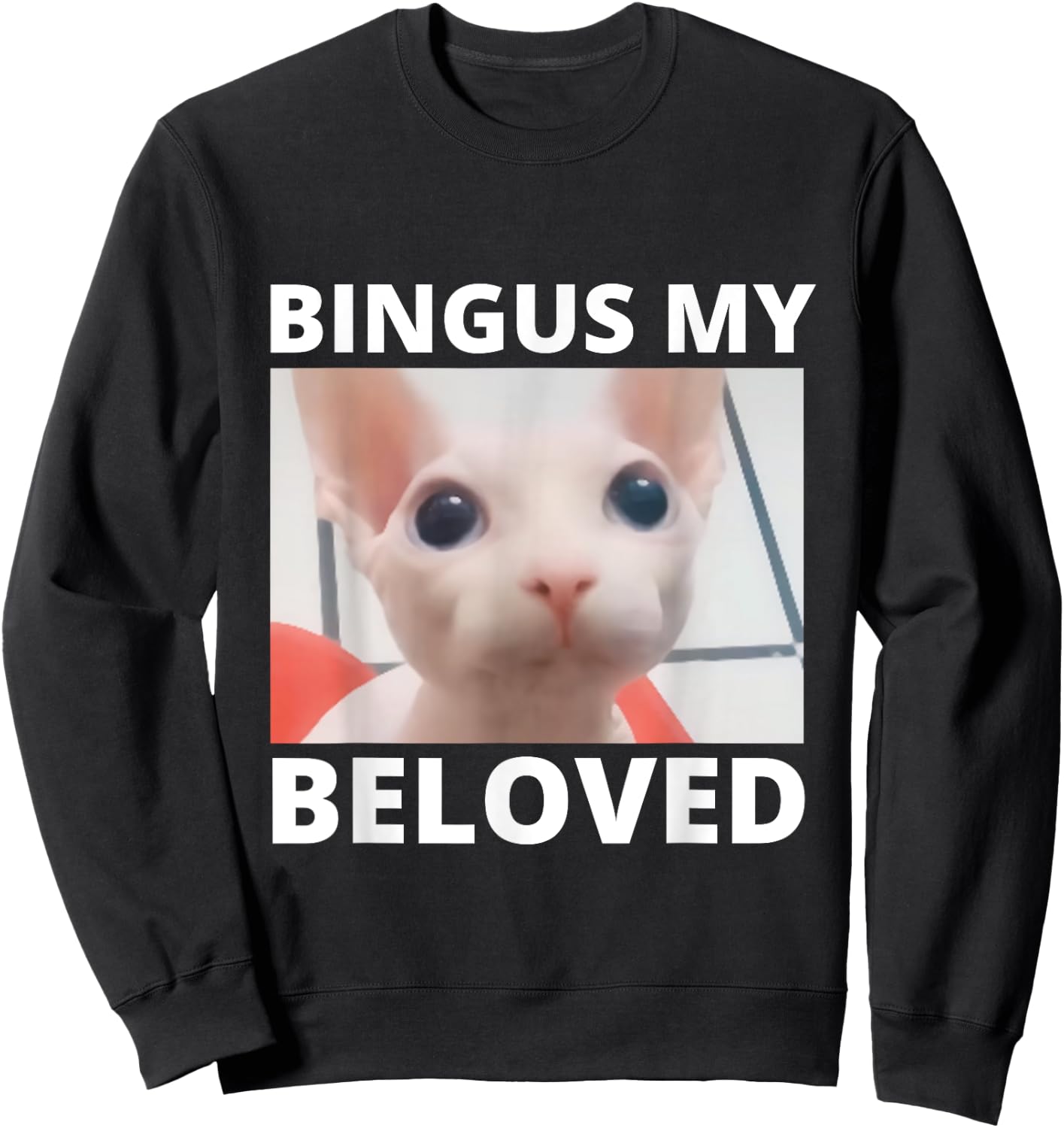 Funny Bingus My Beloved Hairless Sphinx Cat Bingus Cat Meme Men Women Girls Kids Sweatshirt - Sweatshirt | Black