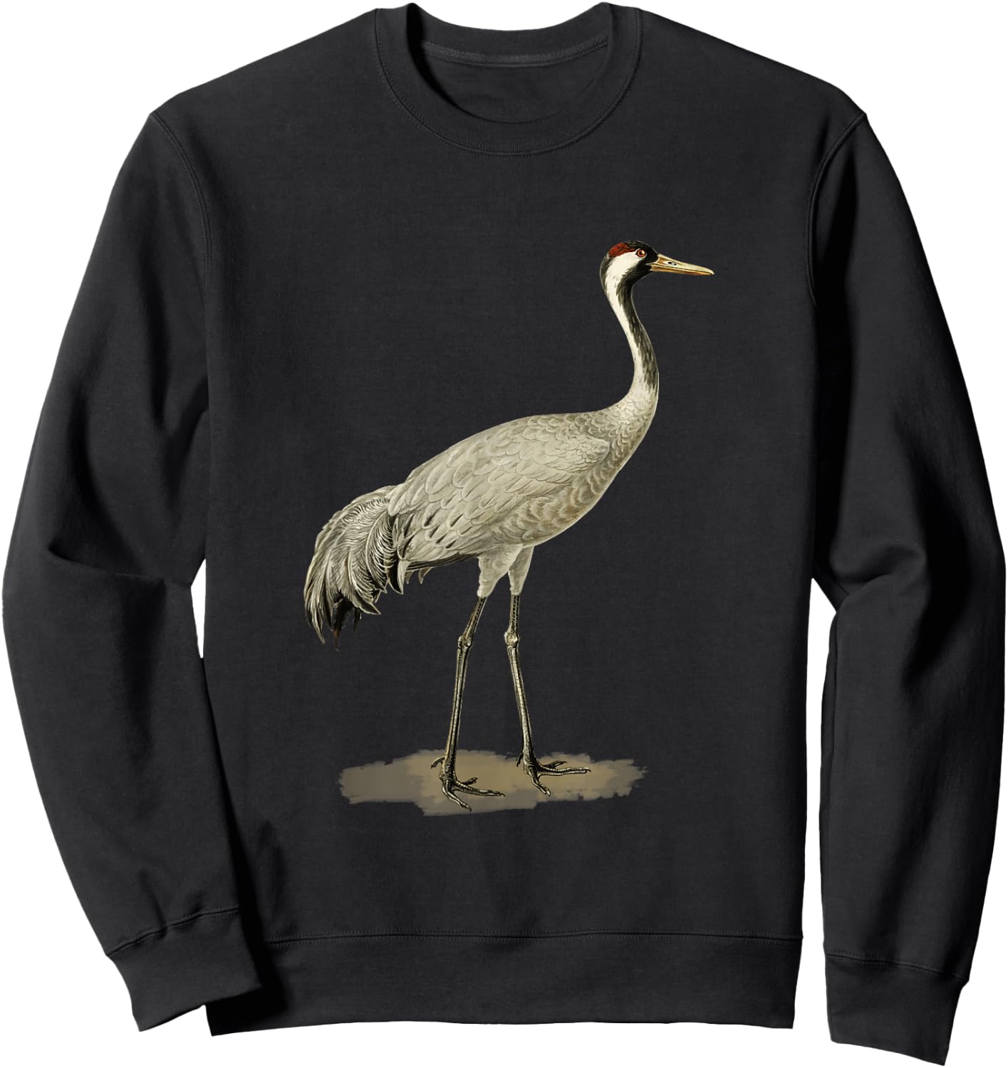Sandhill Crane Antigone Canadensis Bird Refers North America Sweatshirt - Sweatshirt | Black