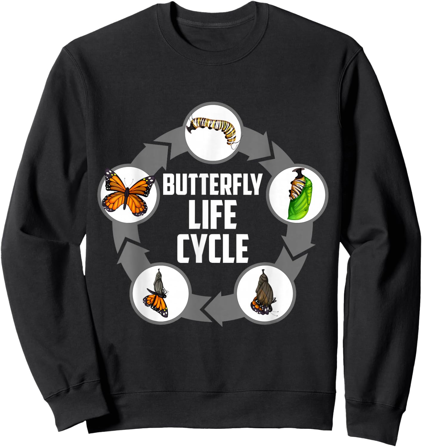 Butterfly Life Cycle Caterpillar Science Biology Sweatshirt - Sweatshirt | Black