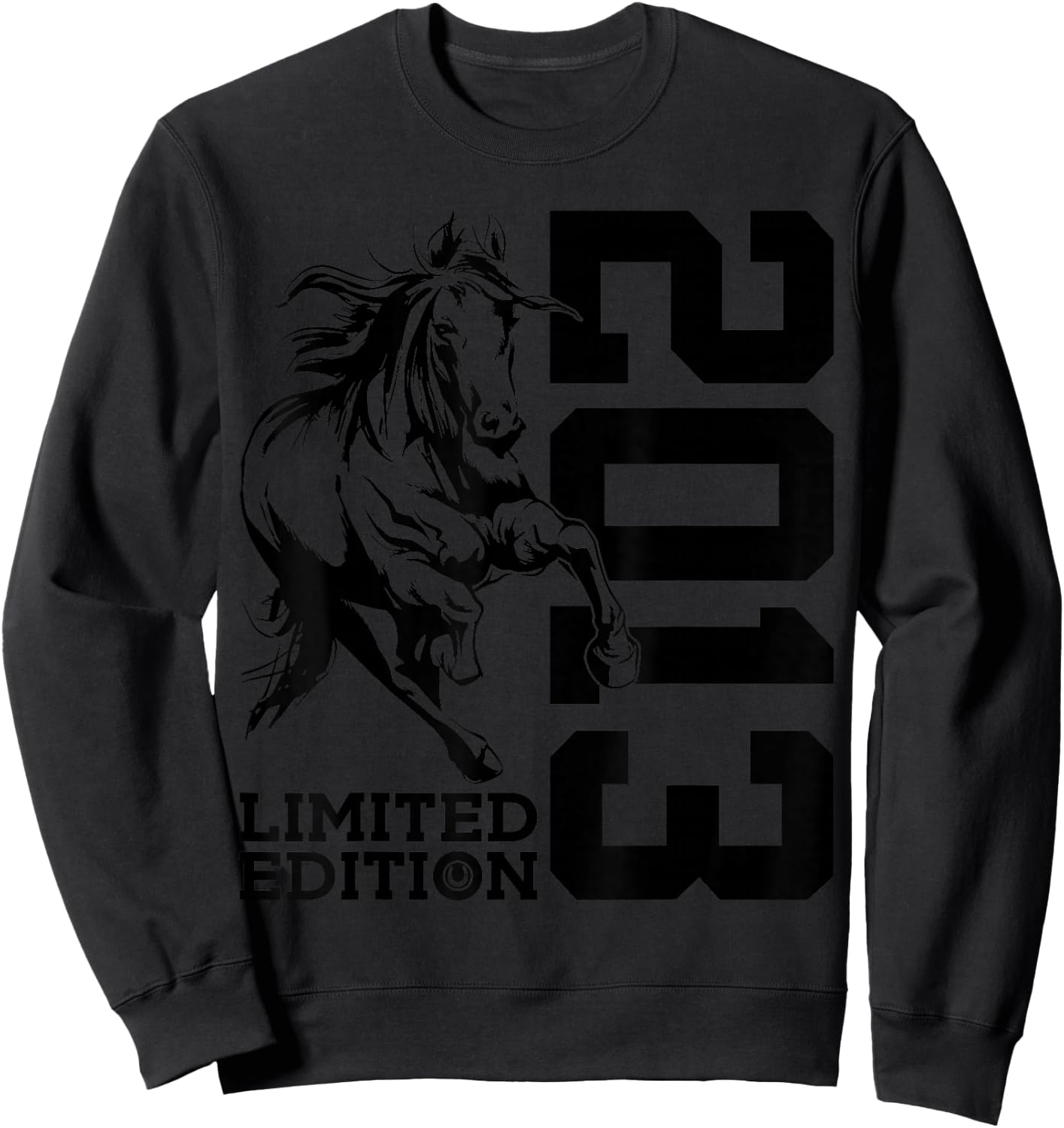Riding 13th Birthday Horse Limited Edition 2013 Rider Sweatshirt - Sweatshirt | Black