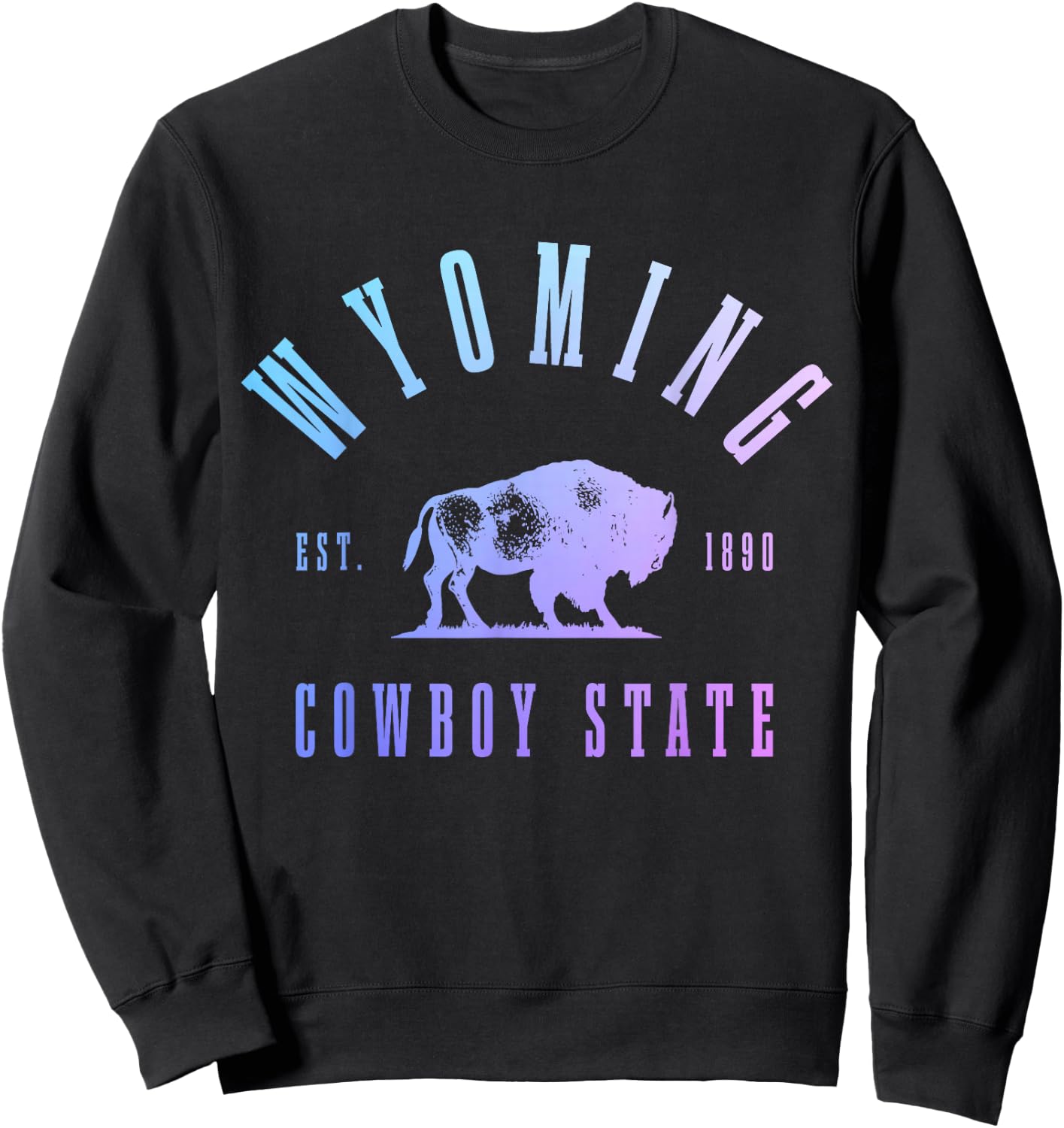 Wyoming, East. 1890 The Cowboy State Bison Vintage Pride Sweatshirt - Sweatshirt | Black