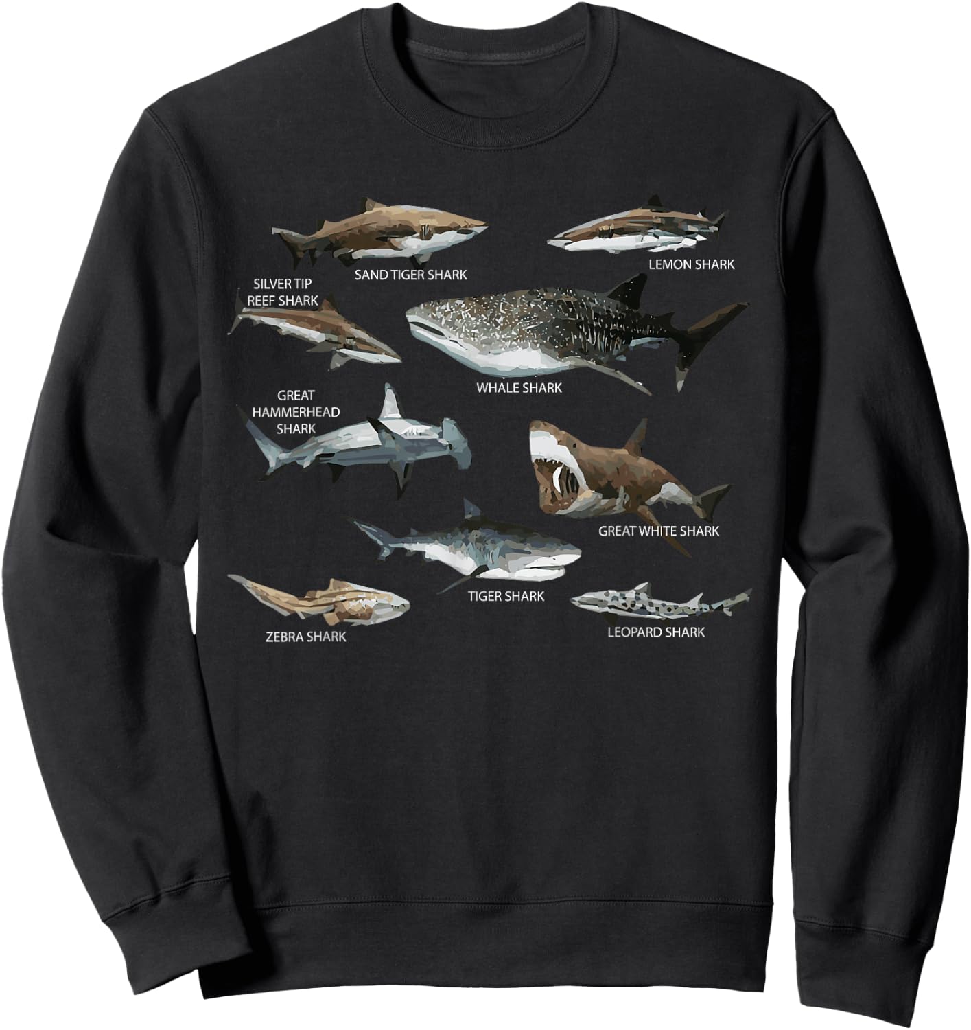 Educational Shark Types Faces Sea Mammals Marine Biologist Sweatshirt - Sweatshirt | Black