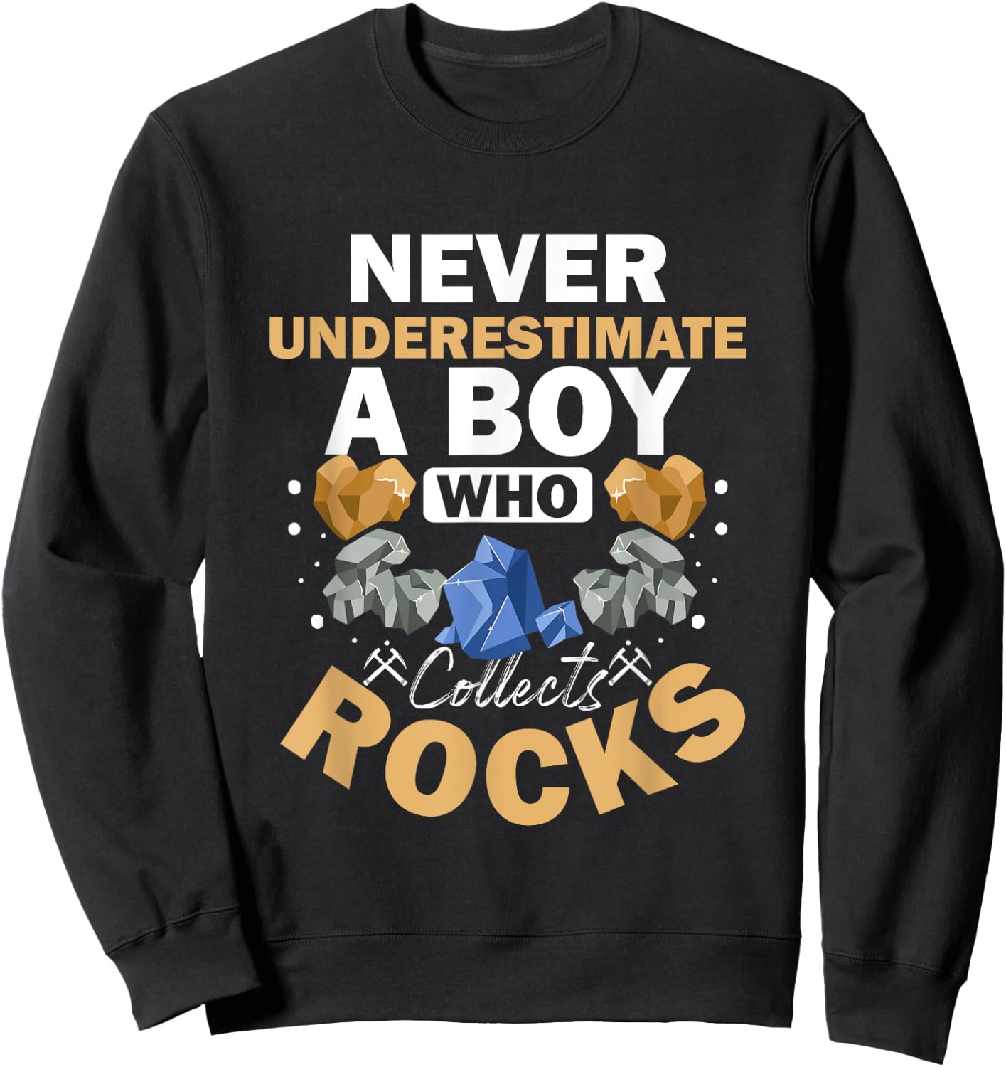 Boy Who Collects Rocks Geology Crystals Collecting Rocks Sweatshirt - Sweatshirt | Black