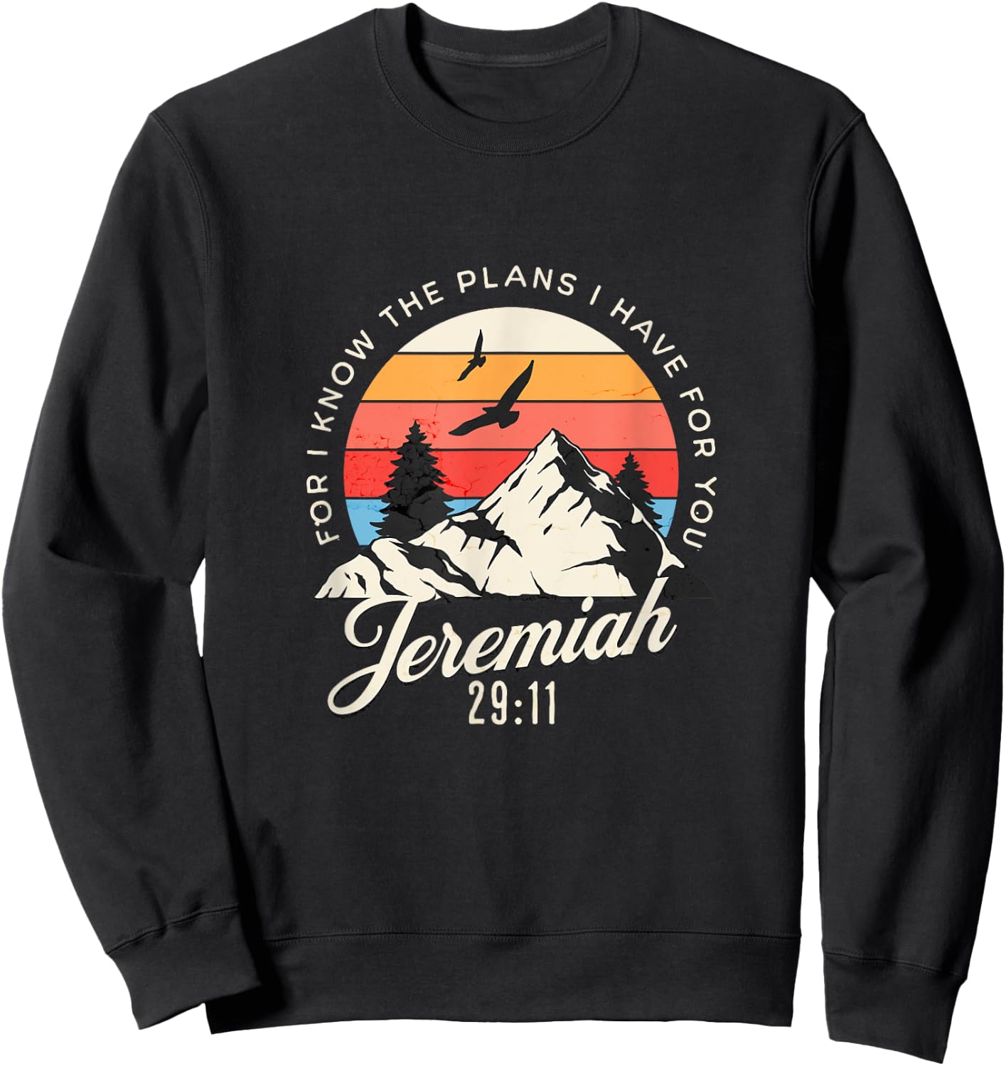 Jeremiah 29:11 For I Know The Plans I Have For You Christian Sweatshirt - Sweatshirt | Black