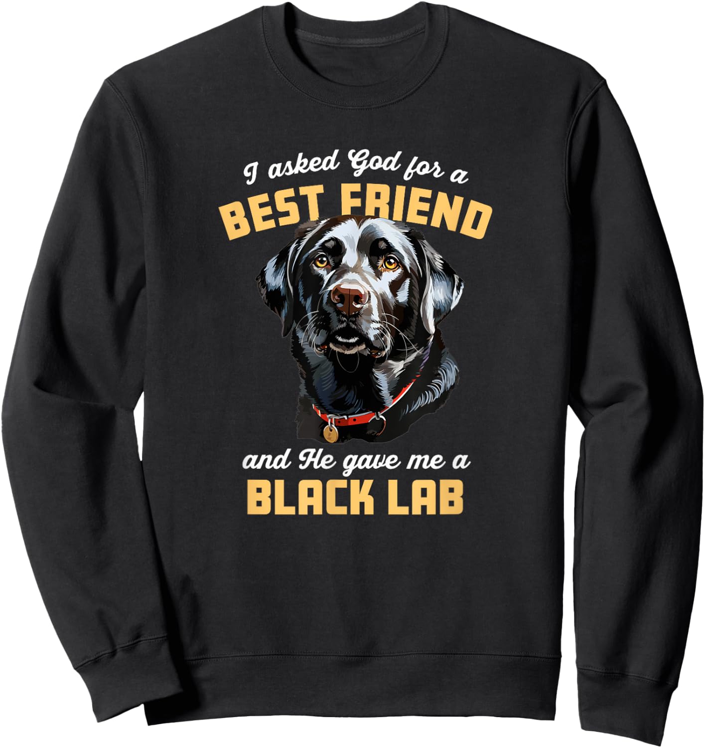 I Asked God For a Best Friend He Gave Me a Black Lab Dog Mom Men Women Girls Kids Sweatshirt - Sweatshirt | Black