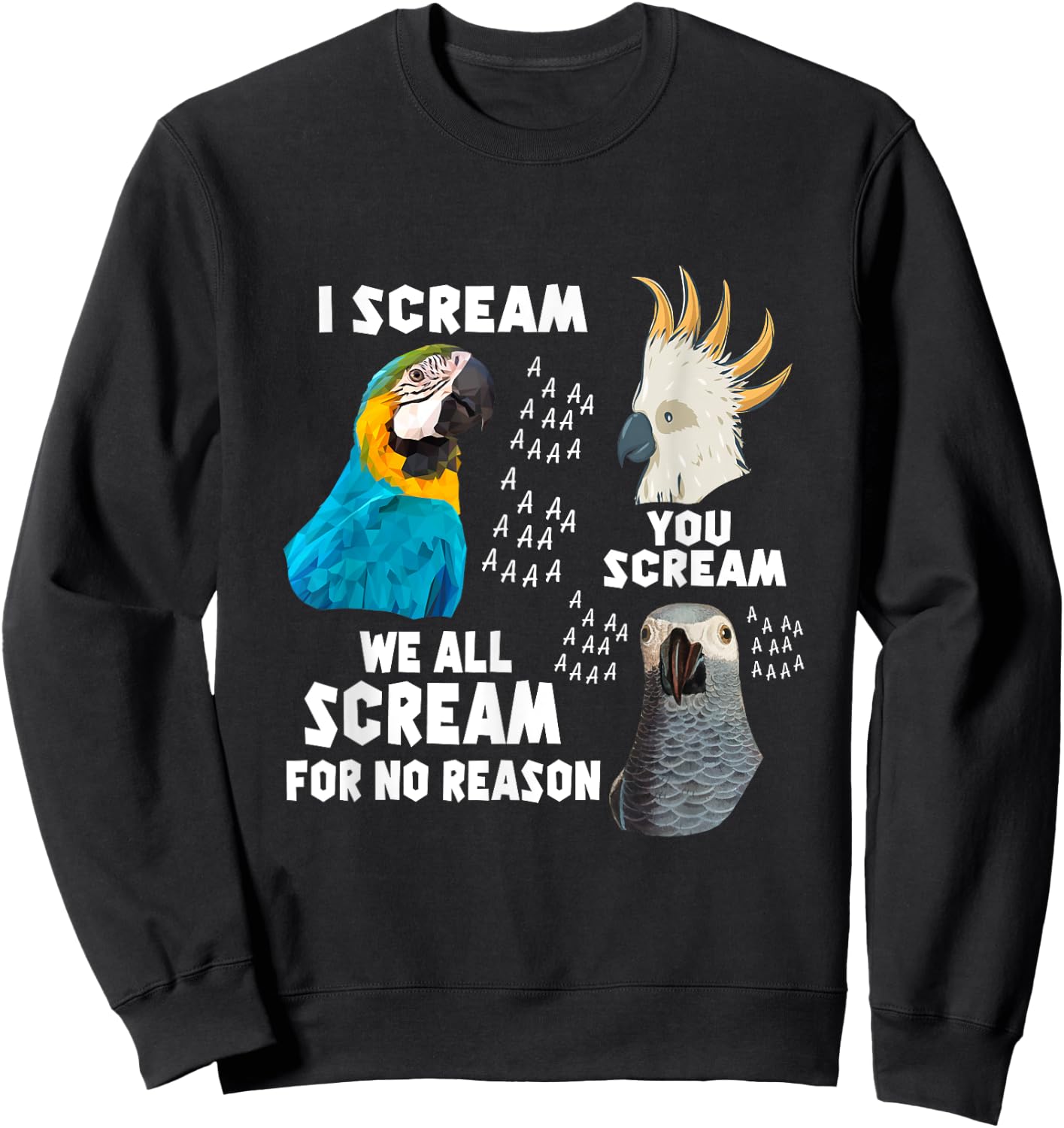 I Scream You Scream We All Scream For No Reason Birds Sweatshirt - Sweatshirt | Black